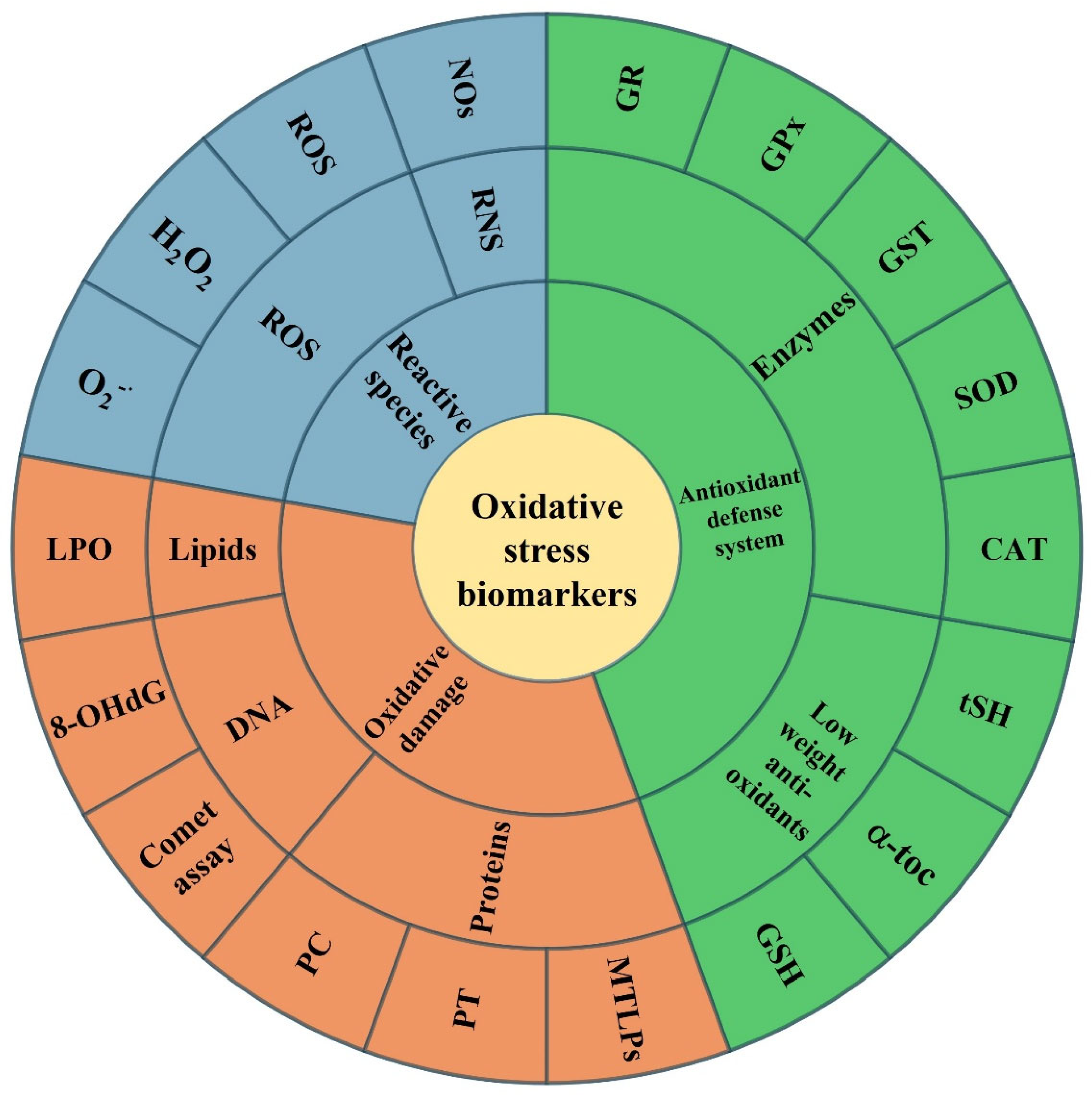 Toxics 13 00698 g001