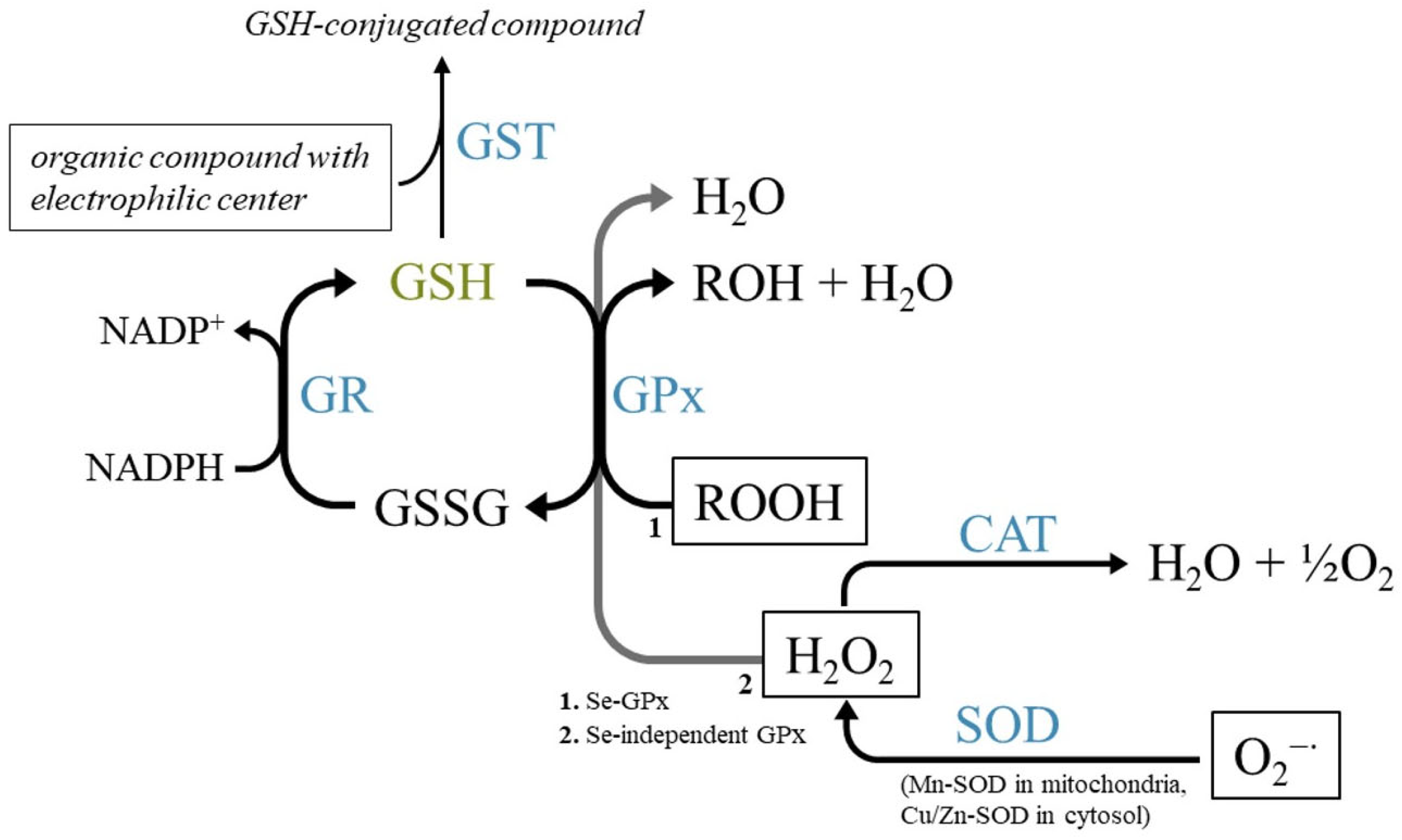Toxics 13 00698 g005
