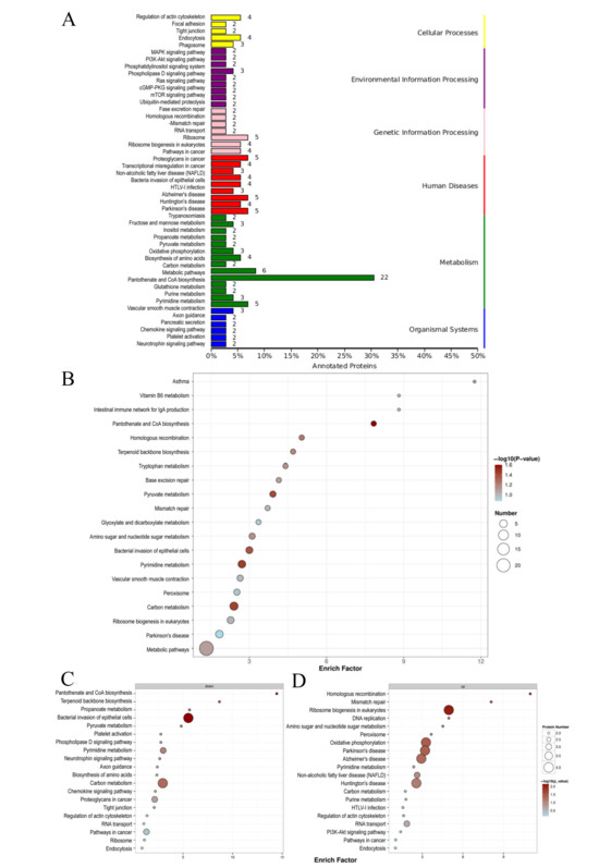 Toxics 13 00699 g005