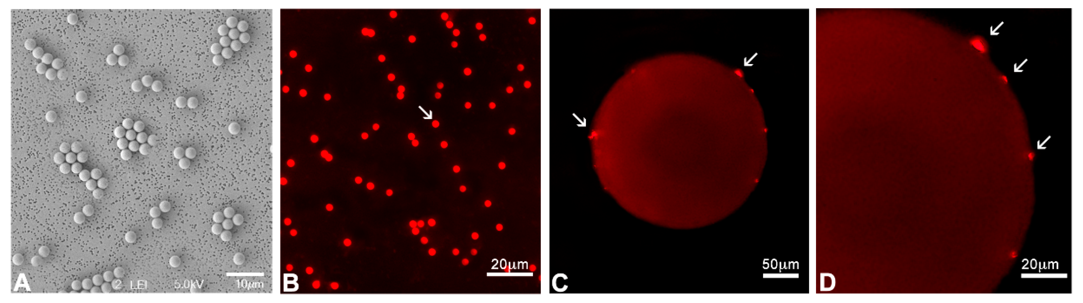 Toxics 13 00700 g001