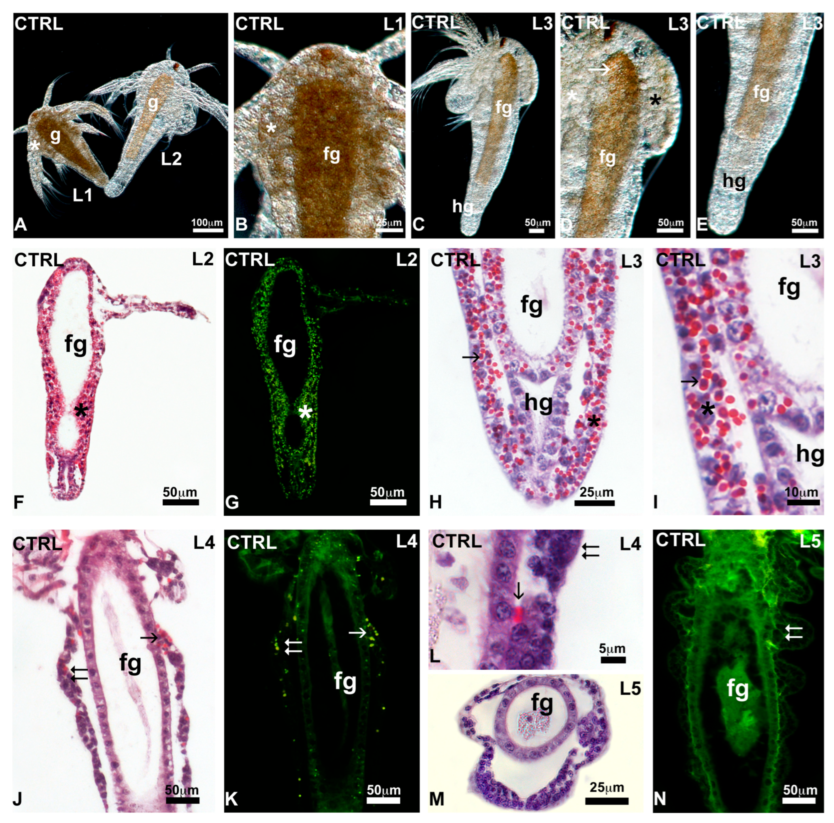 Toxics 13 00700 g004