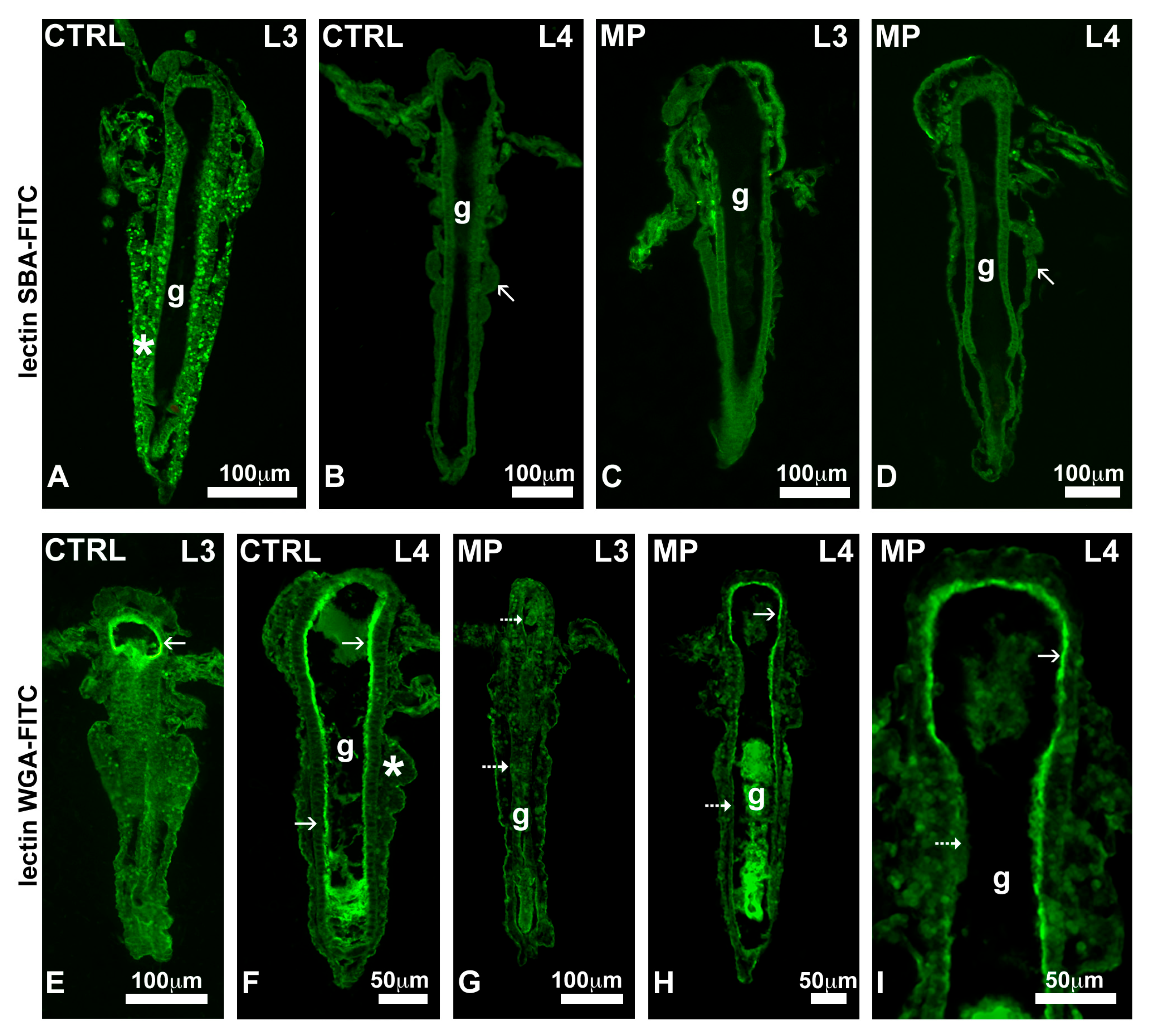 Toxics 13 00700 g006