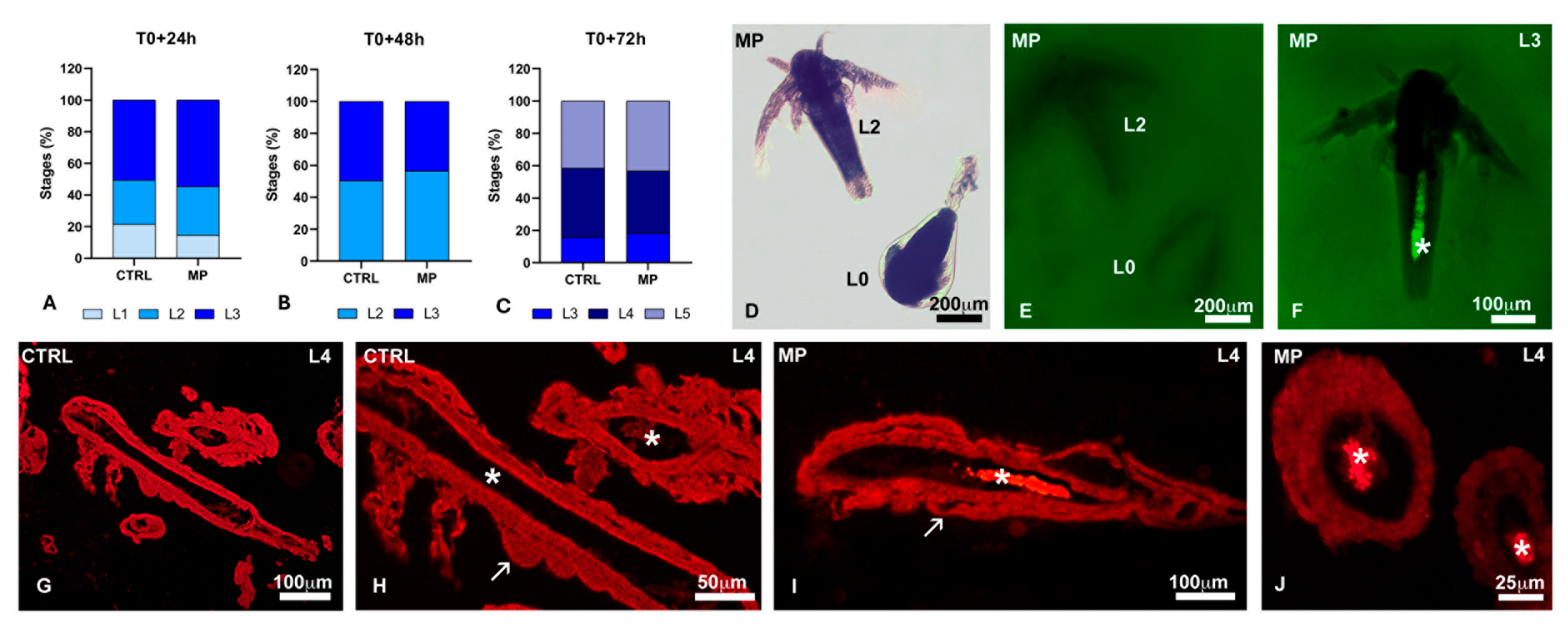 Toxics 13 00700 g007
