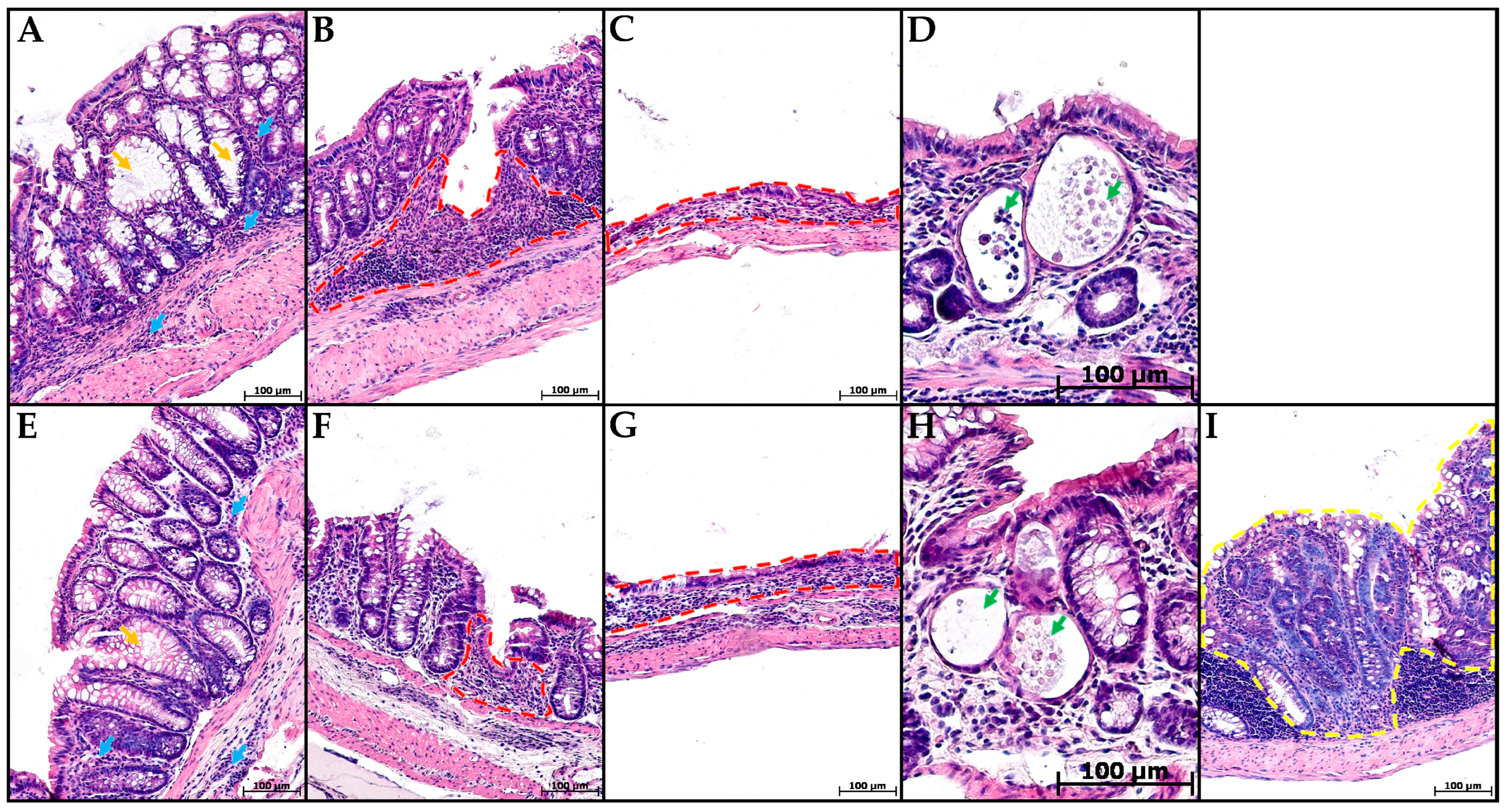 Toxics 13 00701 g003