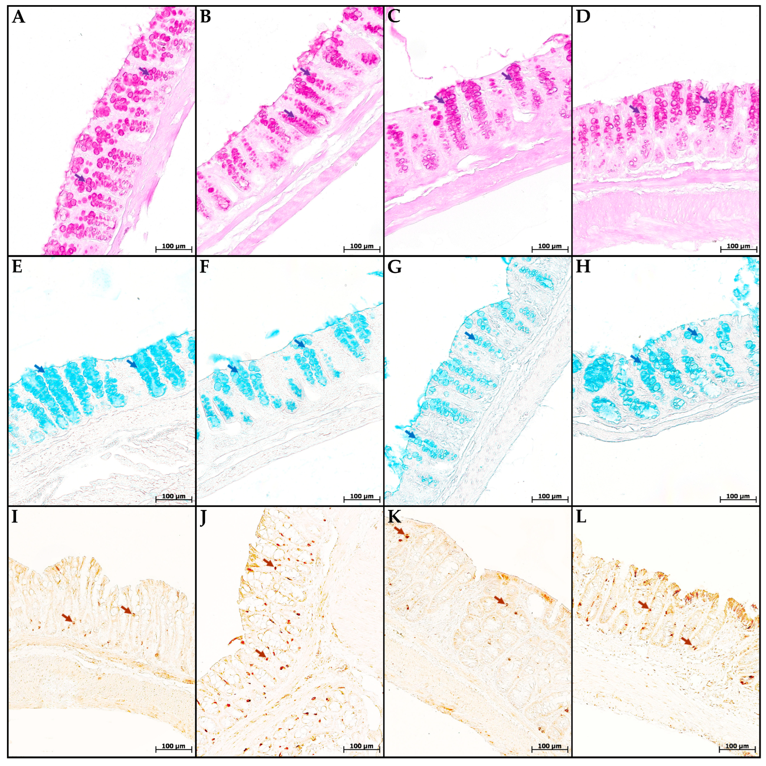 Toxics 13 00701 g004