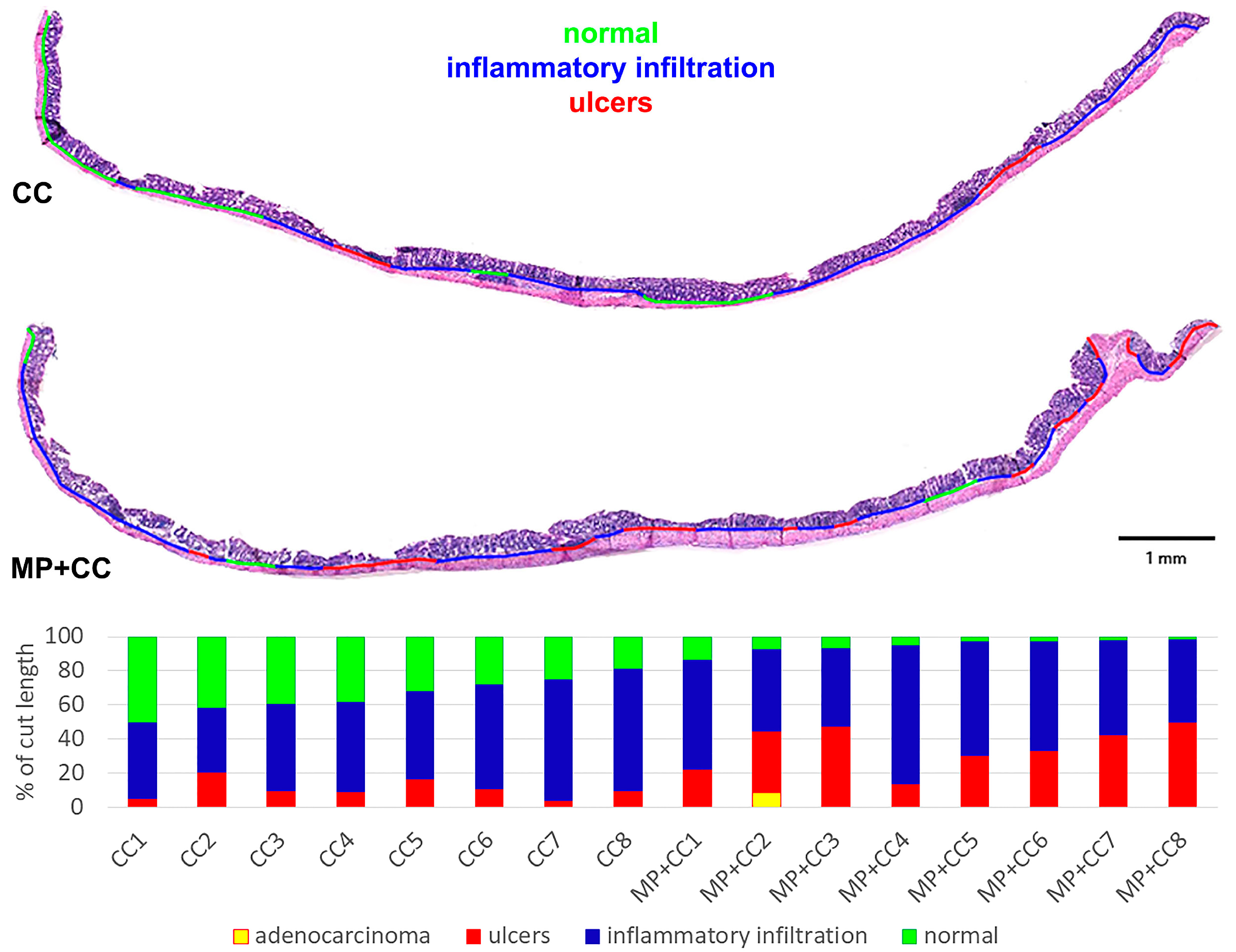 Toxics 13 00701 g006