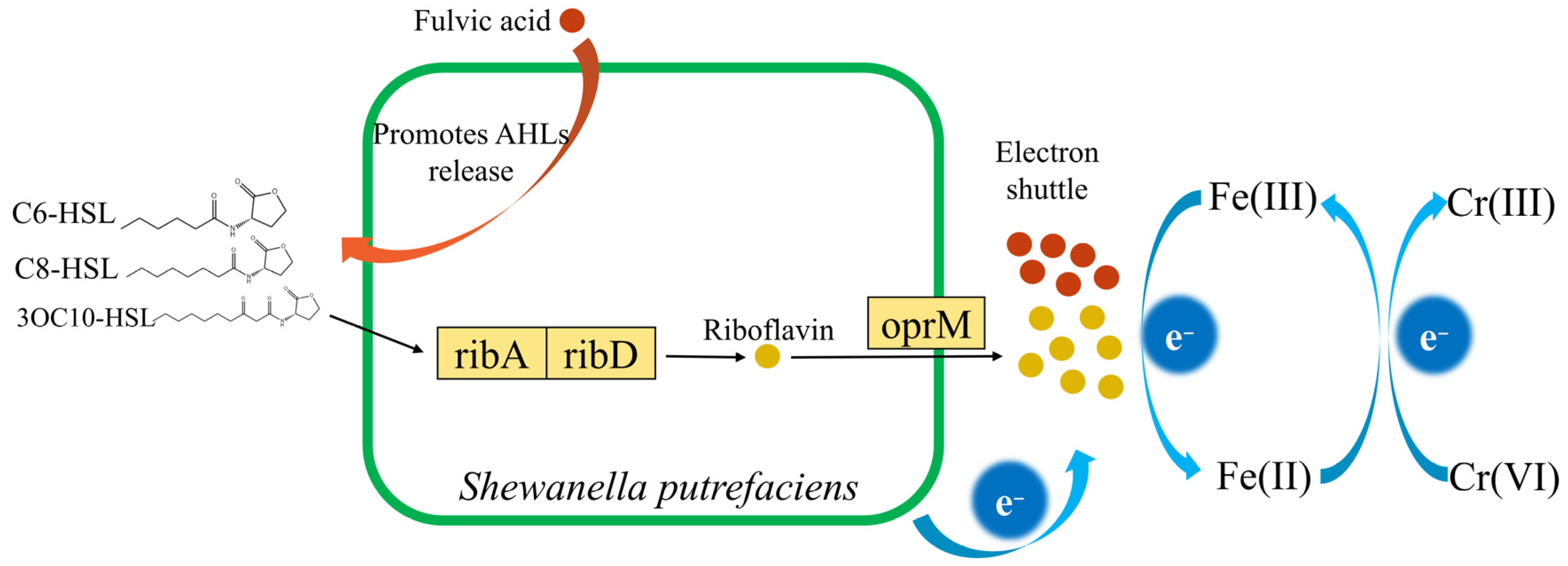 Toxics 13 00708 g007