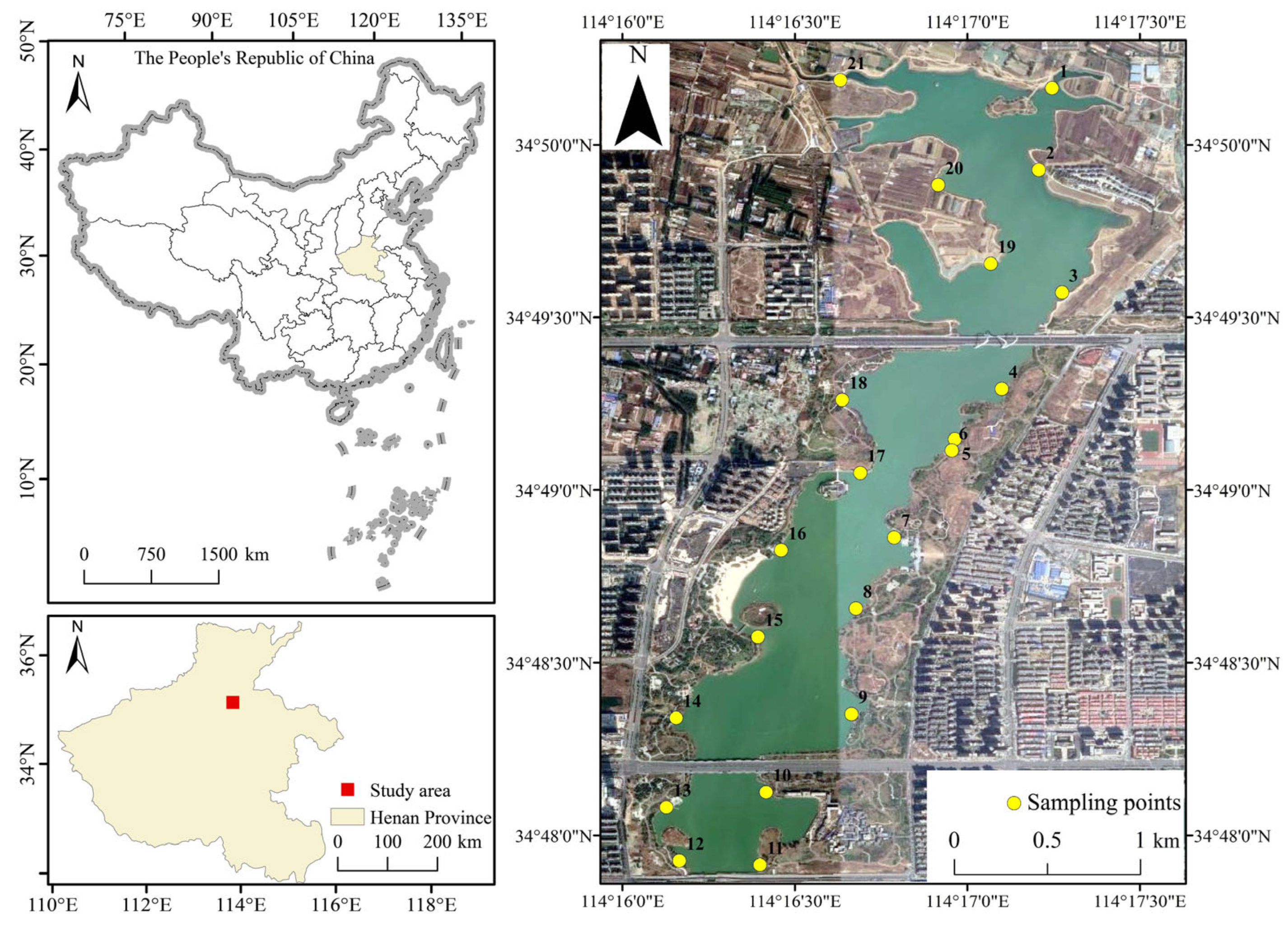 Toxics 13 00720 g001