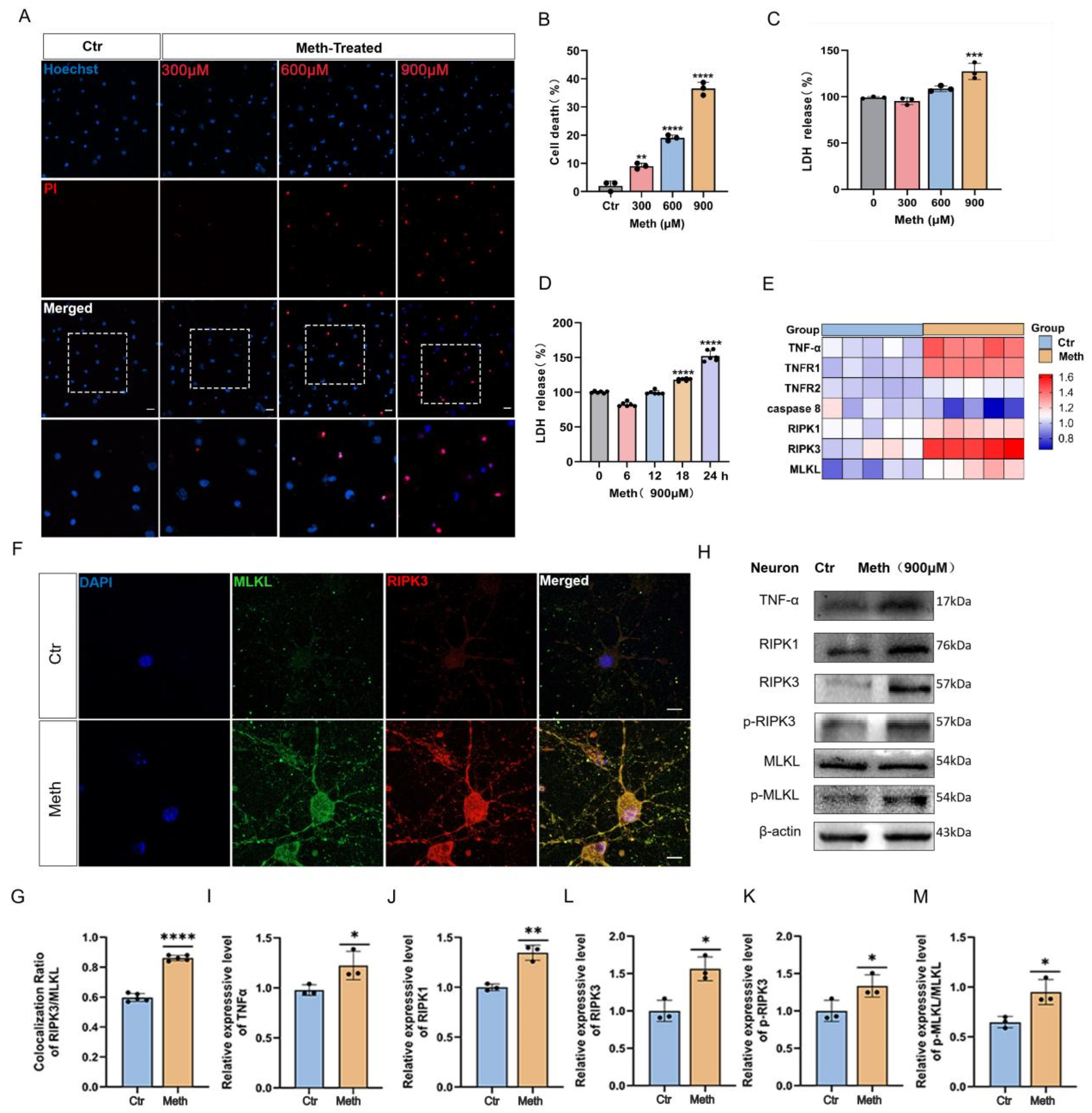 Toxics 13 00736 g001