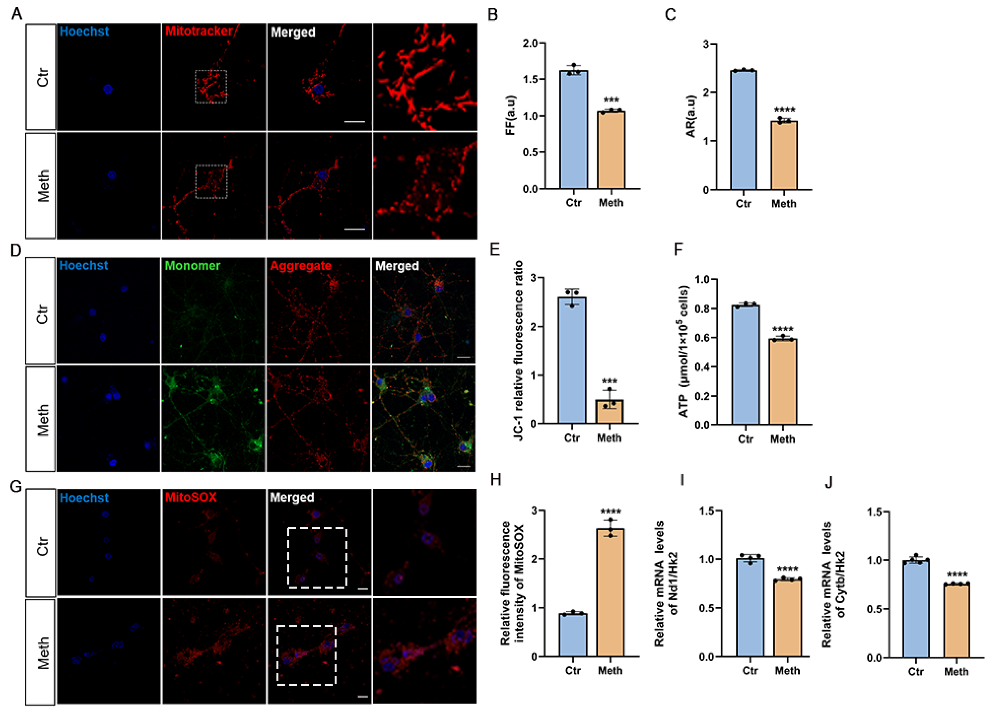 Toxics 13 00736 g002