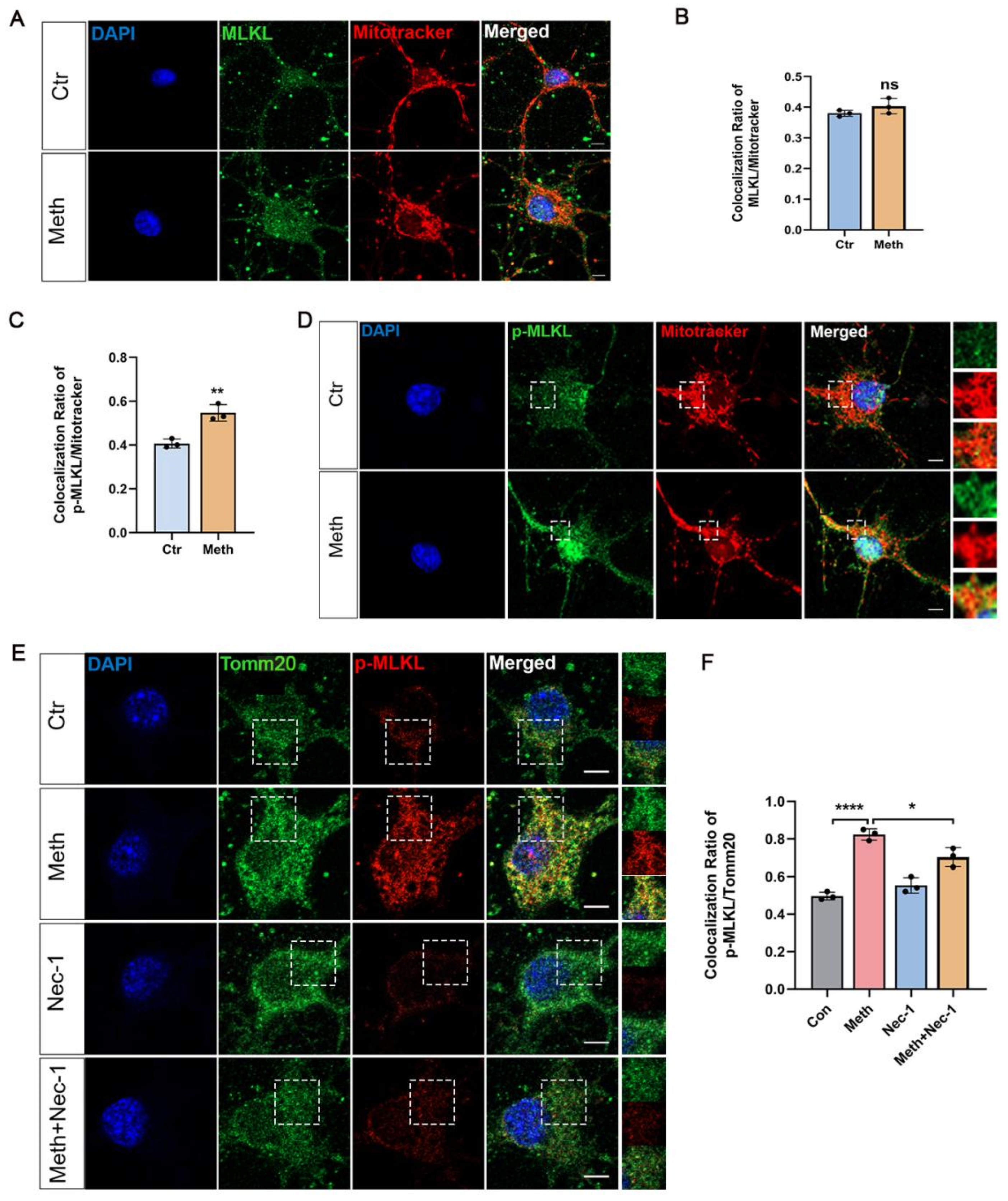 Toxics 13 00736 g004