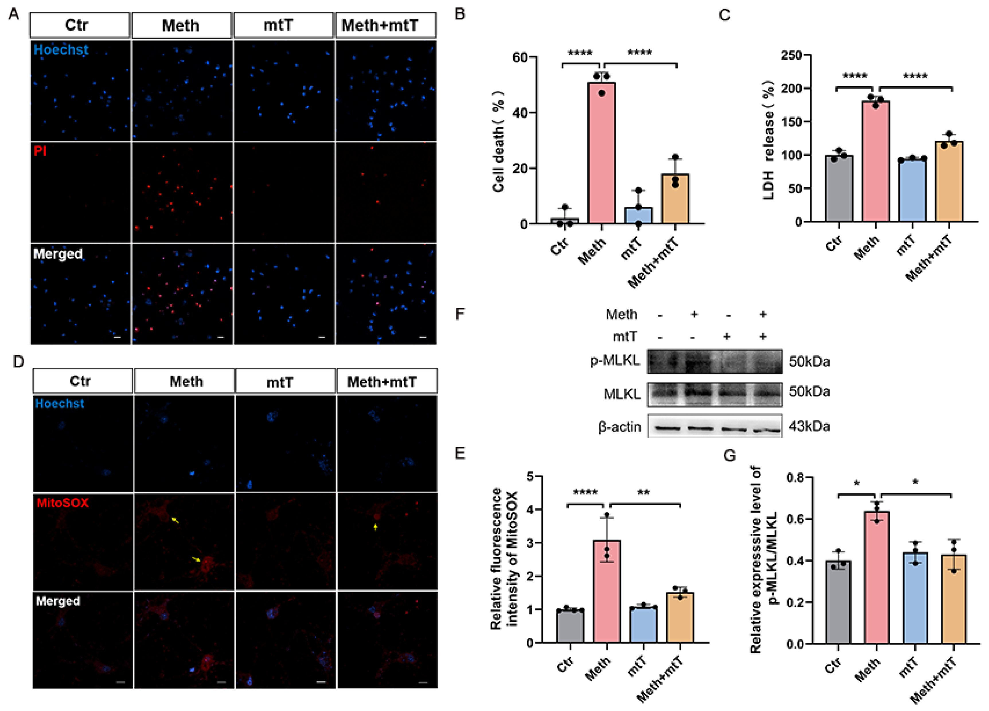 Toxics 13 00736 g005
