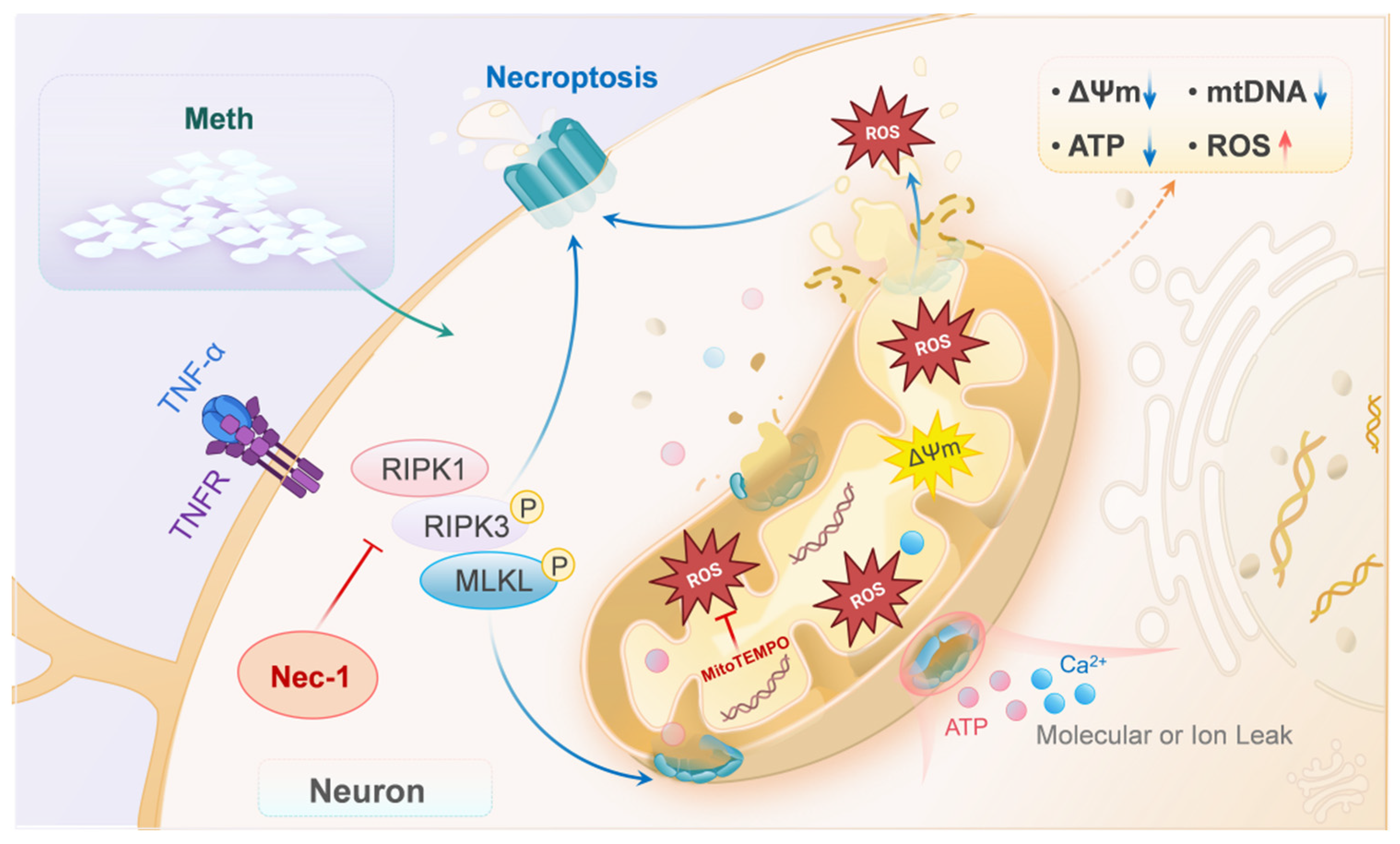Toxics 13 00736 g006
