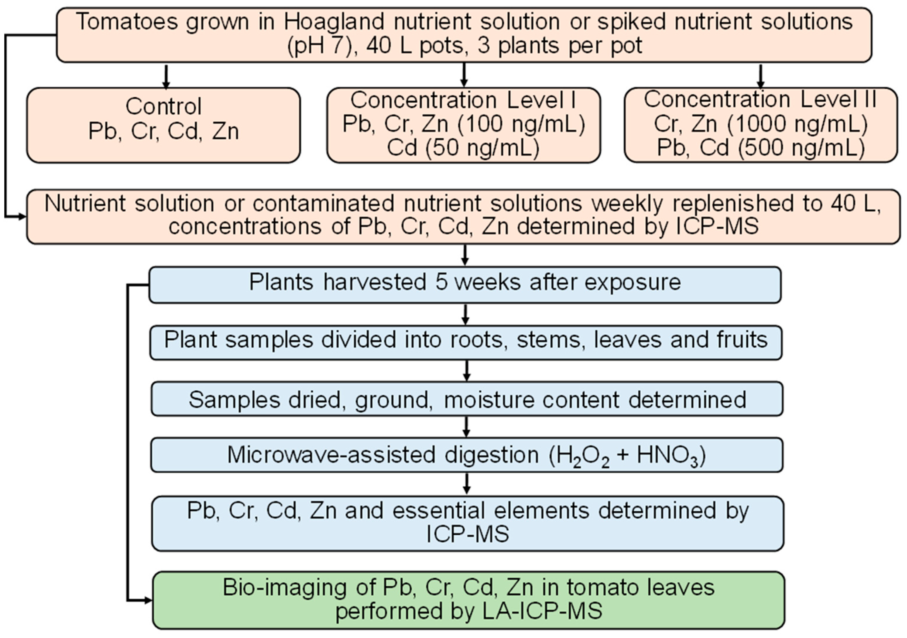 Toxics 13 00738 g001