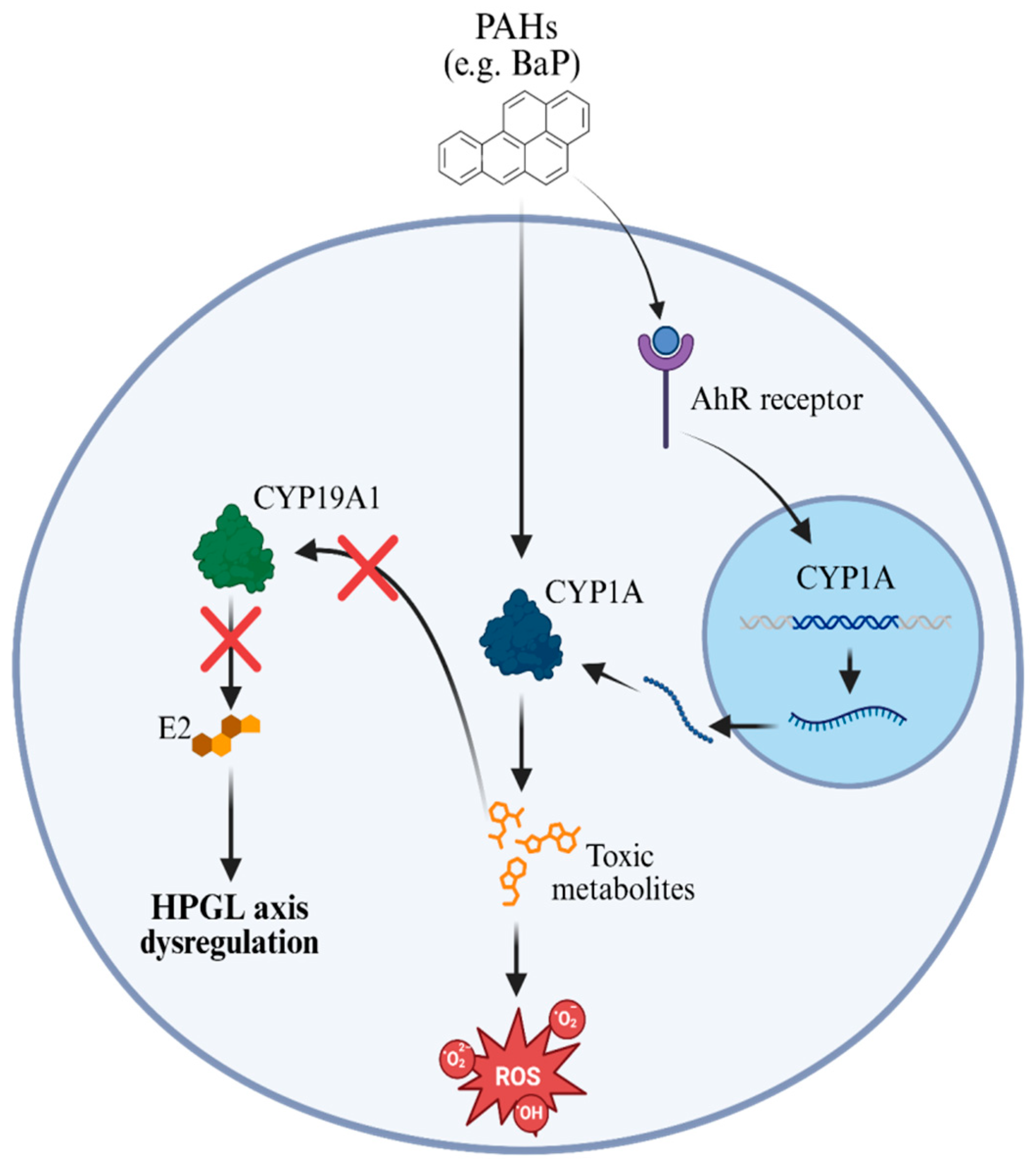 Toxics 13 00747 g001