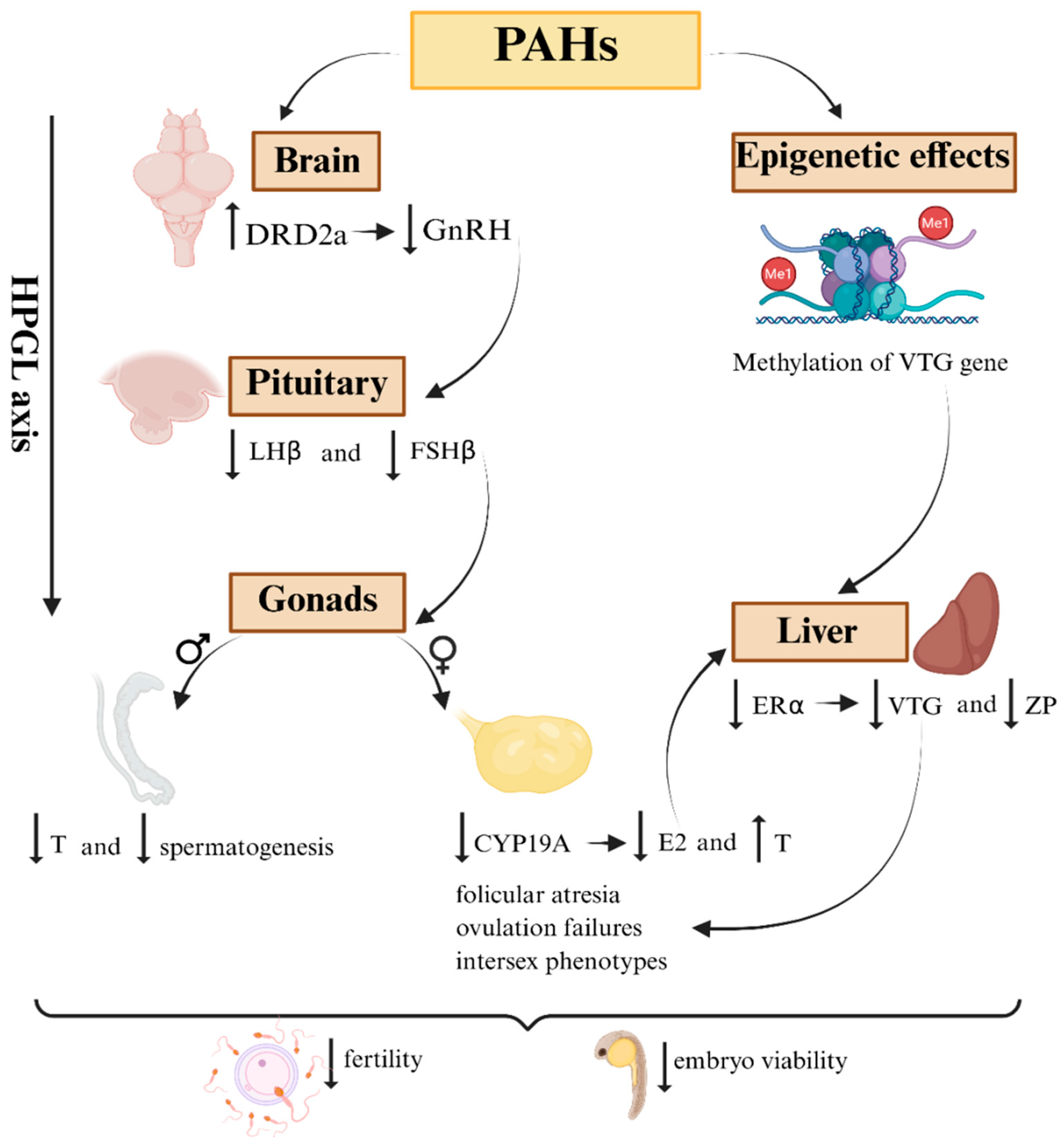 Toxics 13 00747 g002