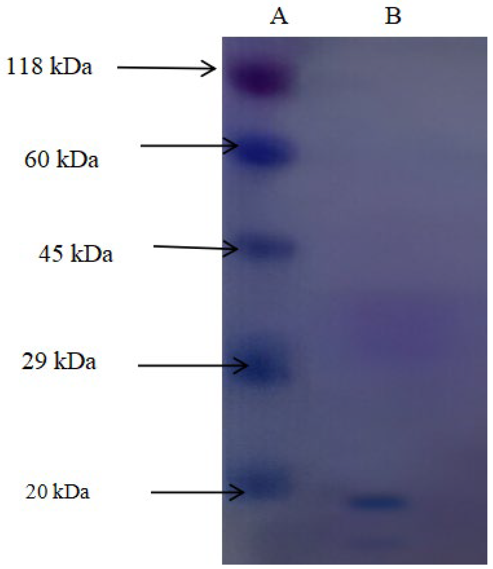 Toxics 13 00750 g010