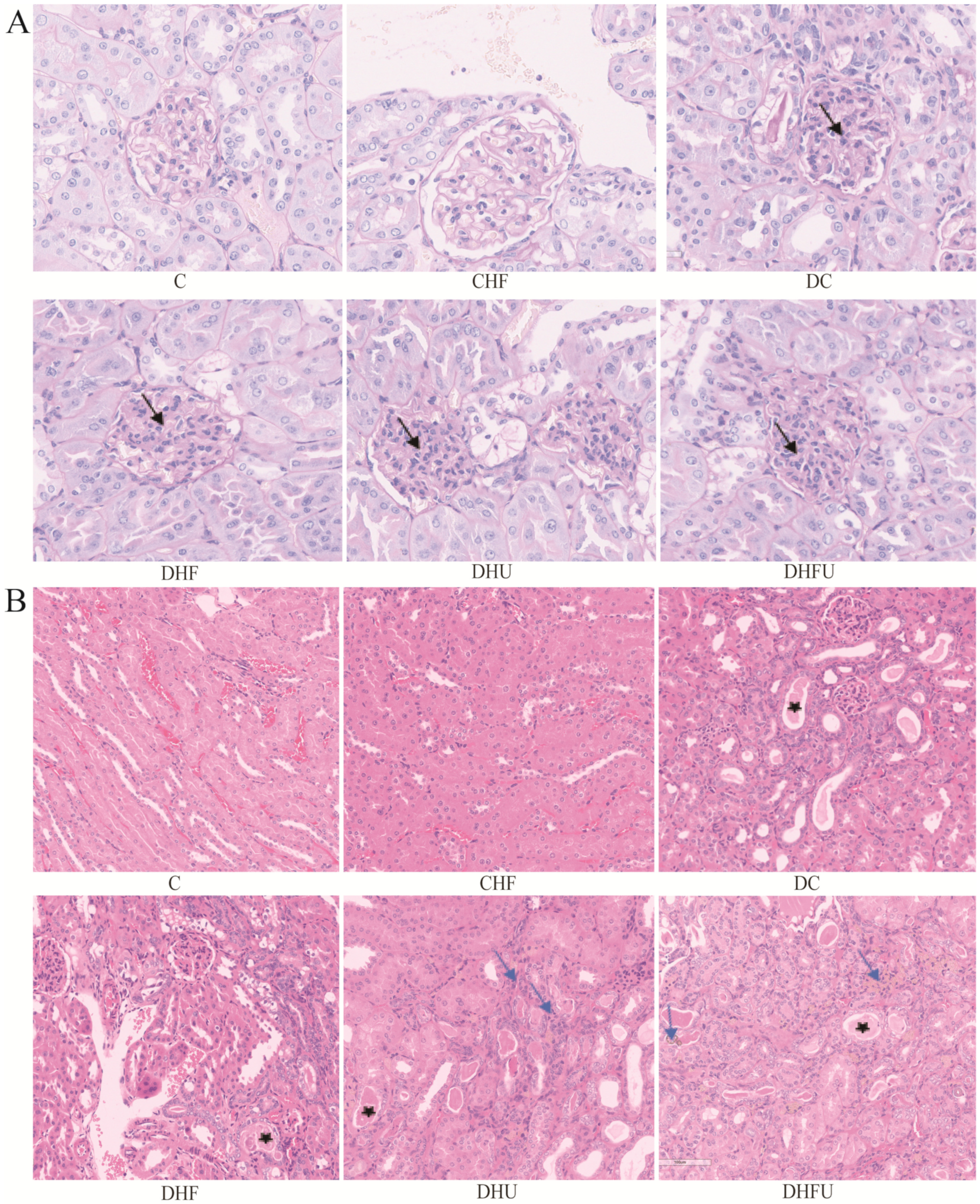 Toxics 13 00751 g002