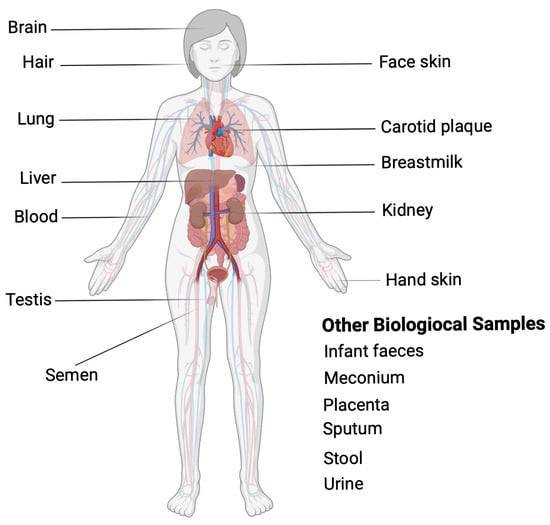 Toxics 13 00756 g003