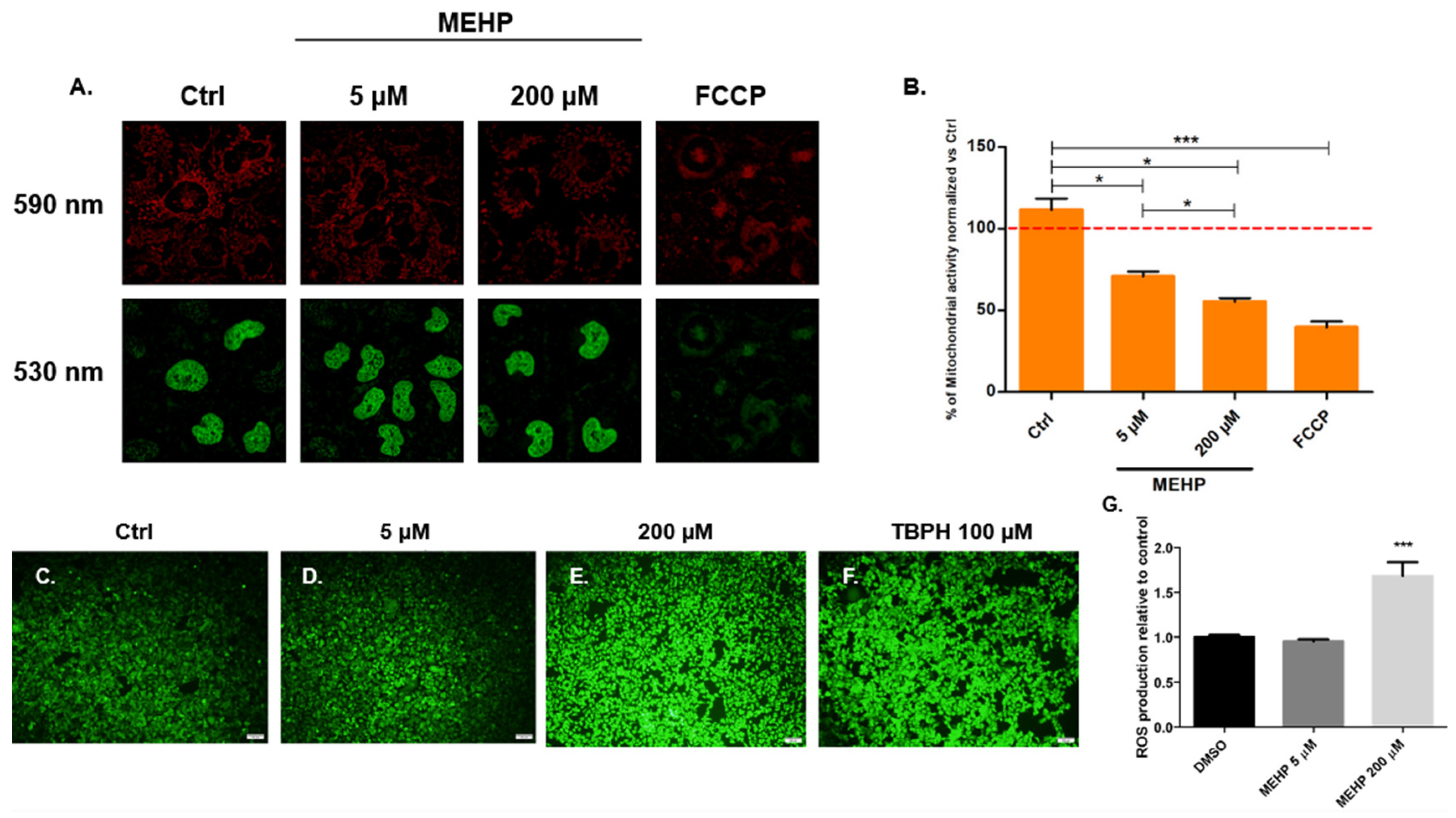 Toxics 13 00770 g002