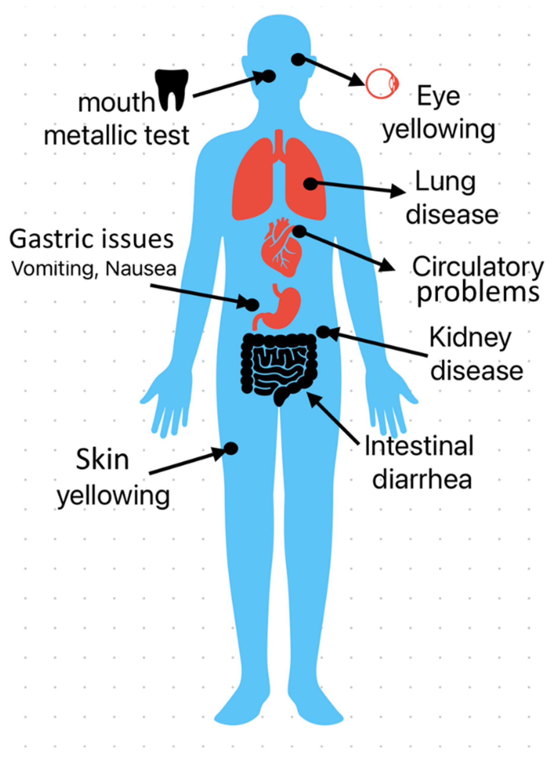 Toxics 13 00777 g008