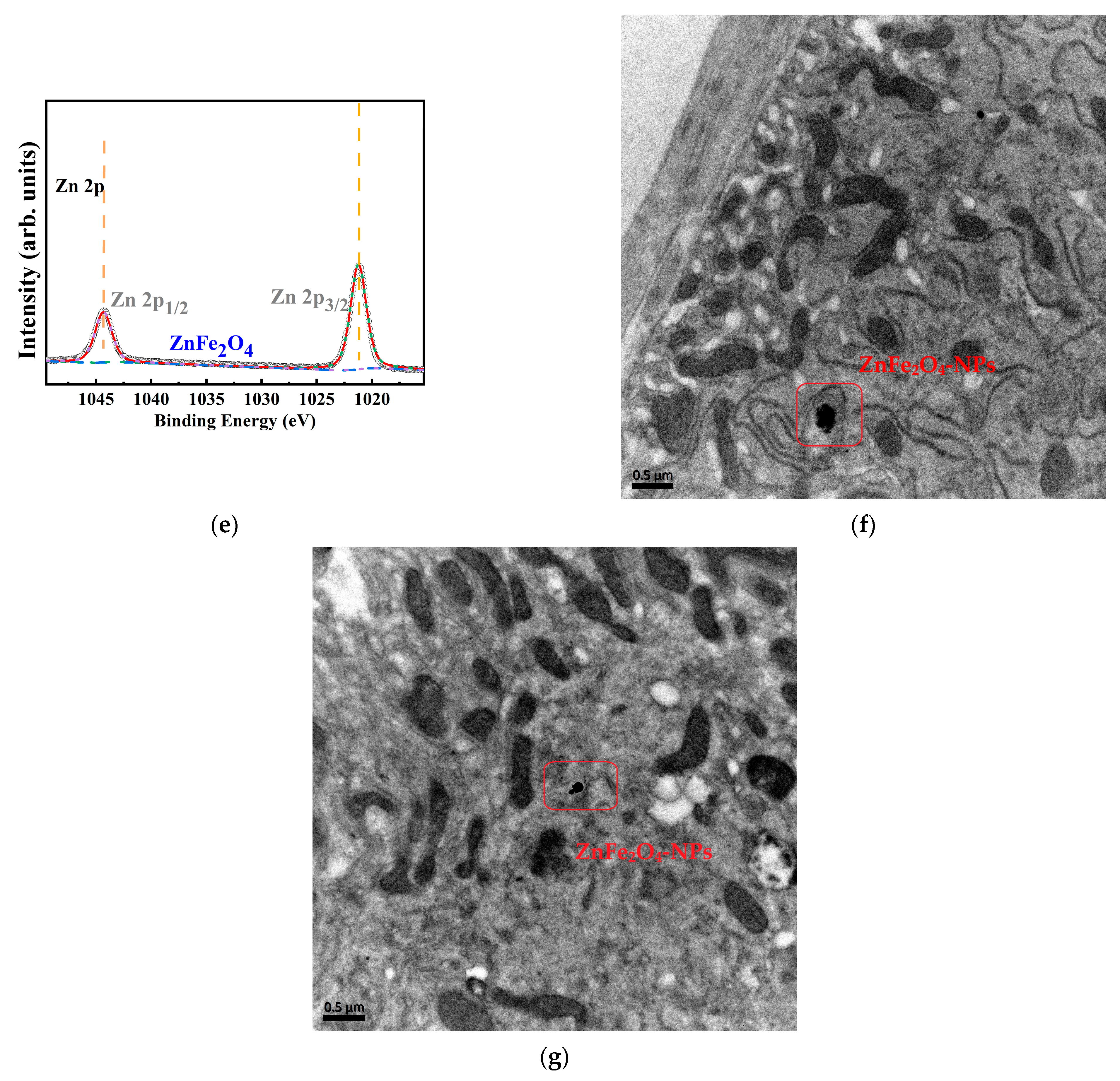 Toxics 13 00779 g001b
