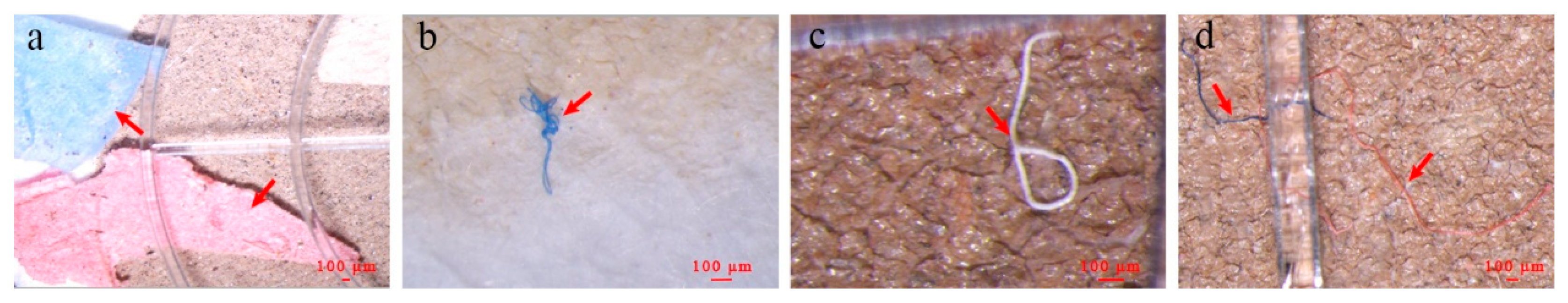 Toxics 13 00781 g003 Toxics 13 00781 g003