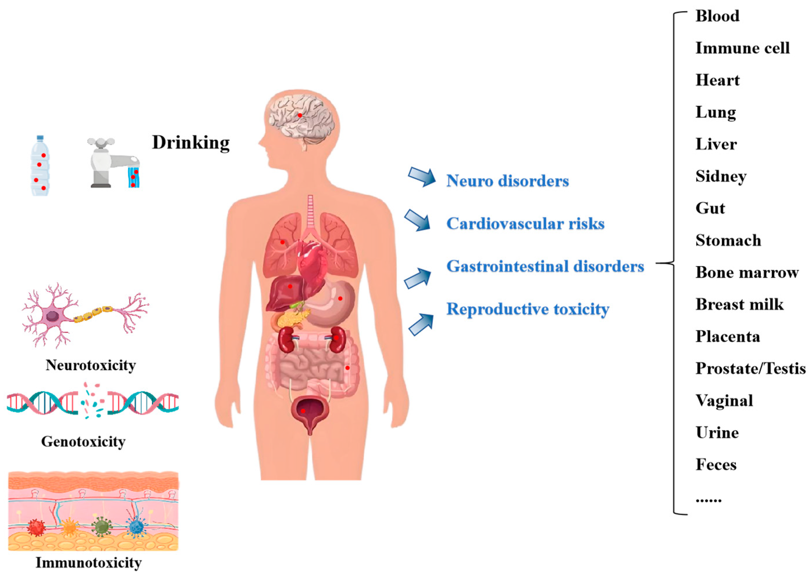 Toxics 13 00782 g003 Toxics 13 00782 g003