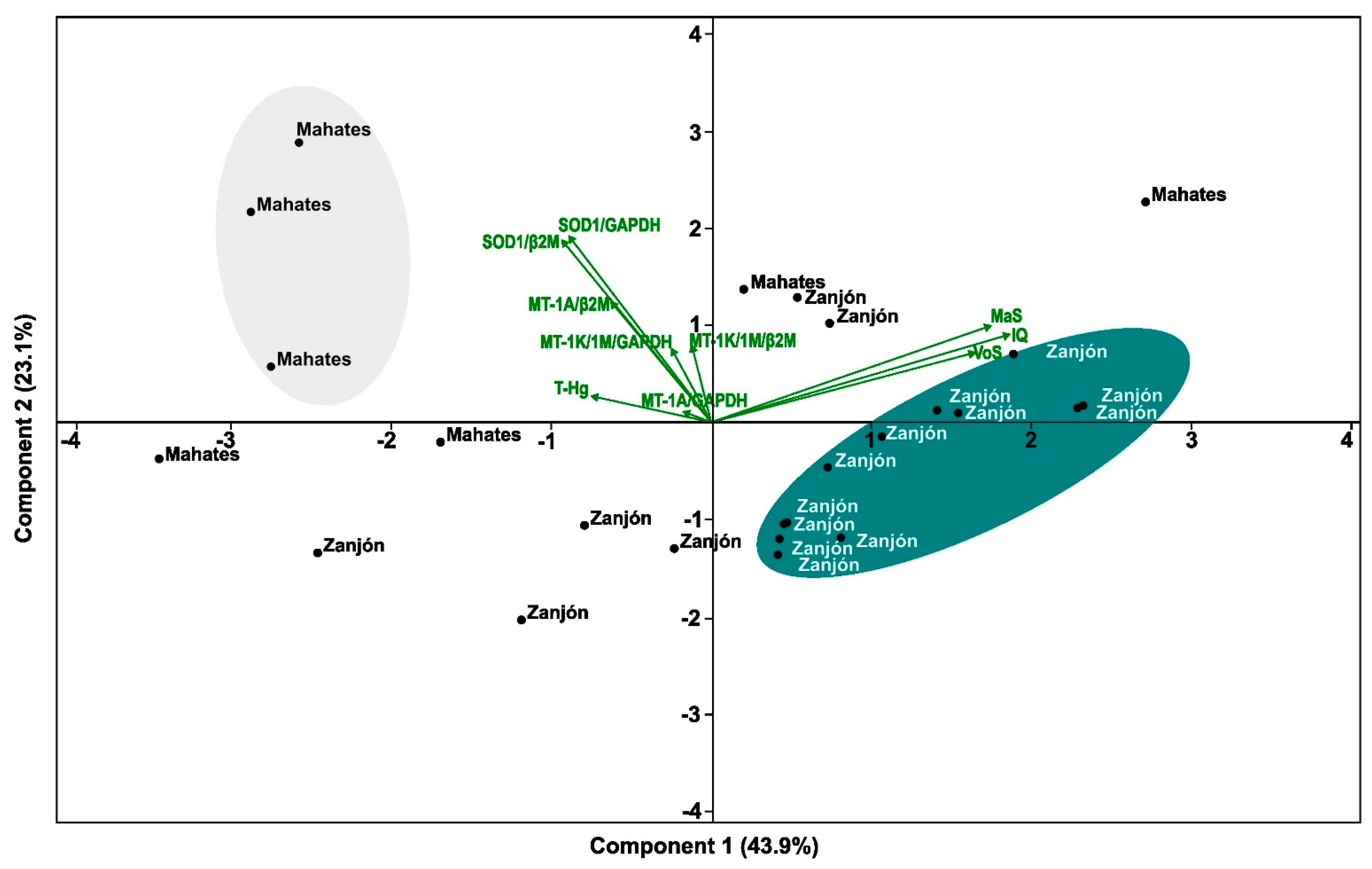 Toxics 13 00786 g004