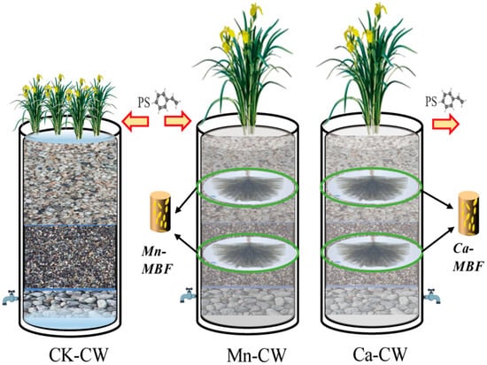 Toxics 13 00800 g001