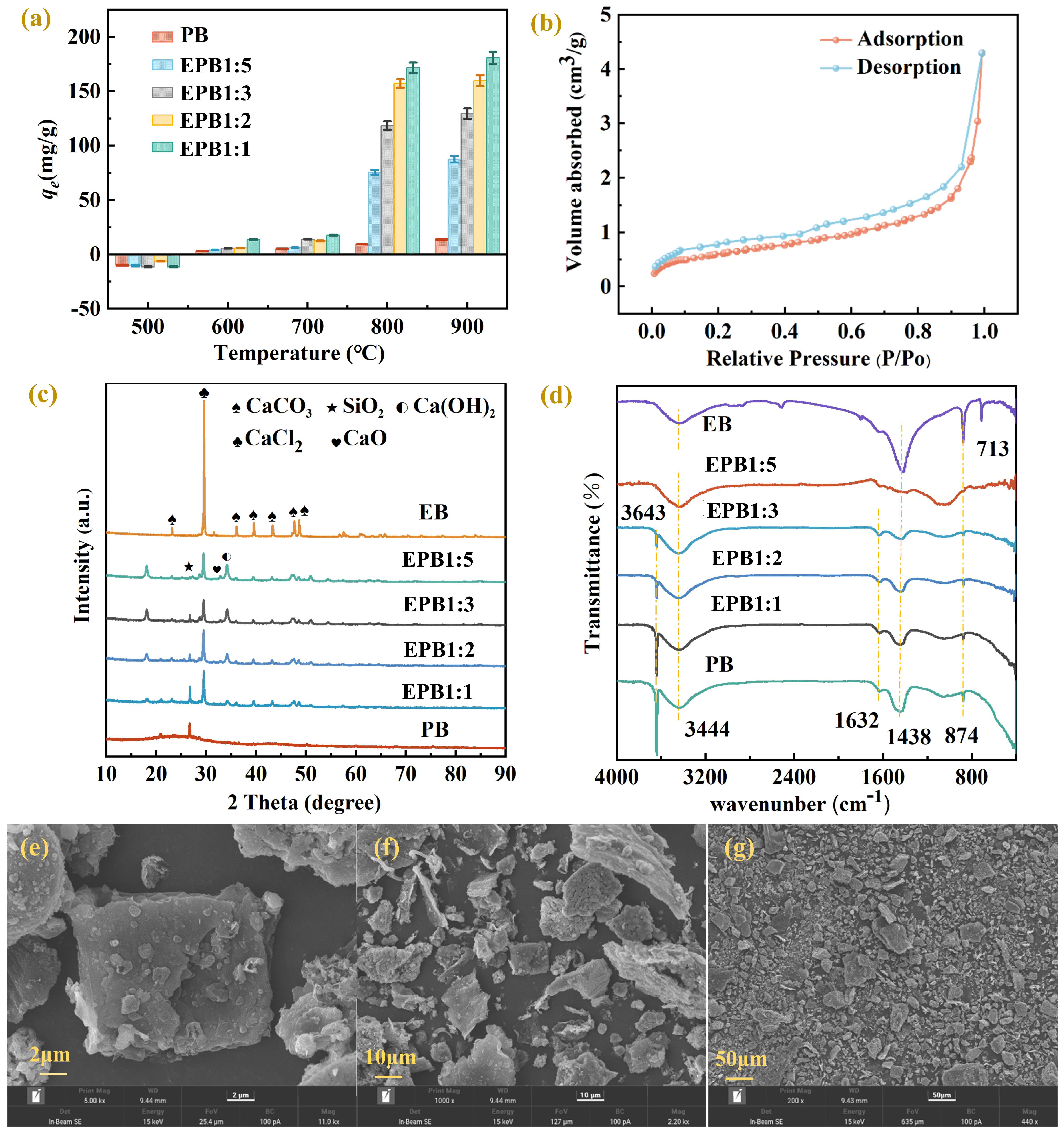 Toxics 13 00808 g001