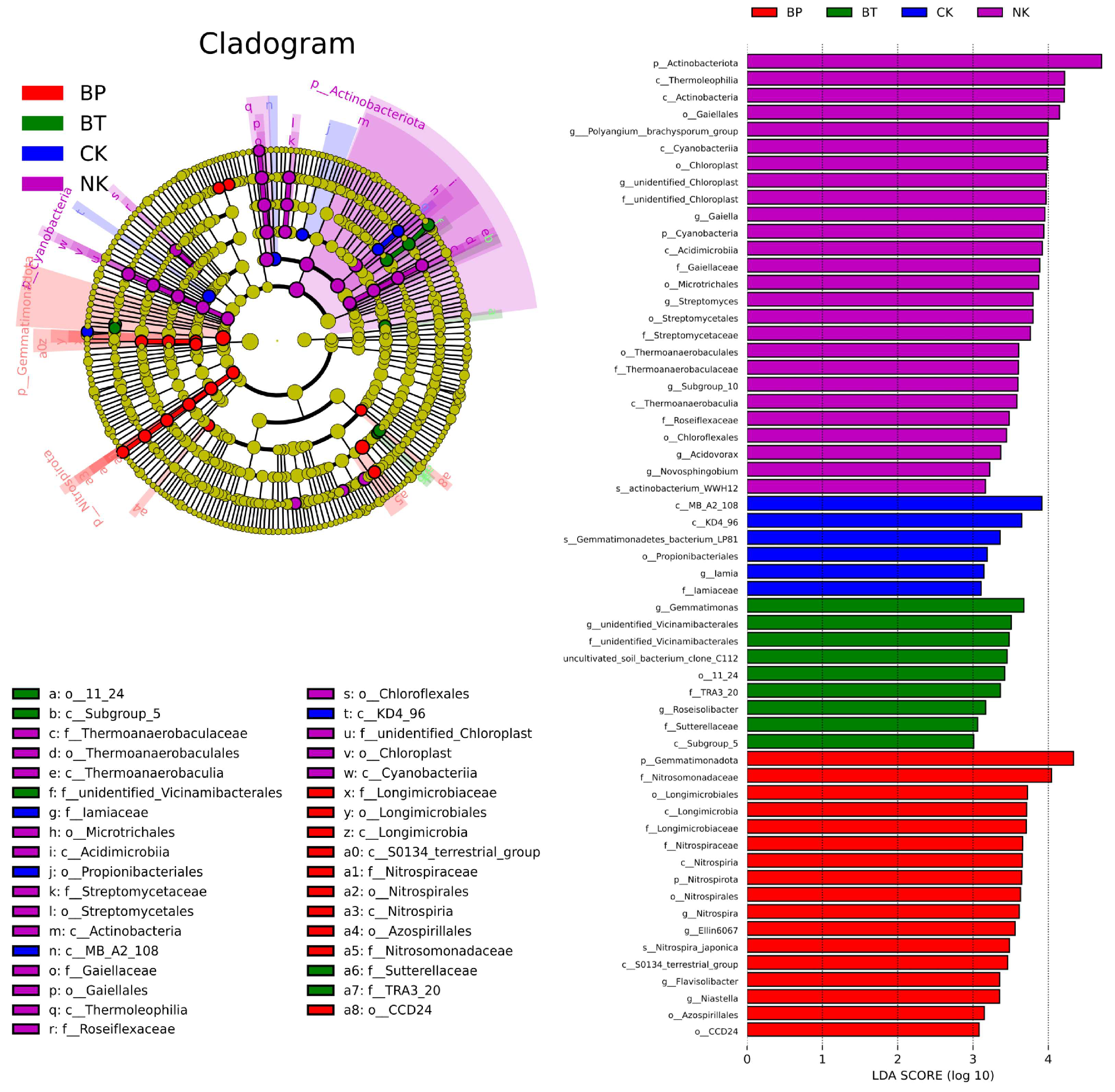 Toxics 13 00808 g010