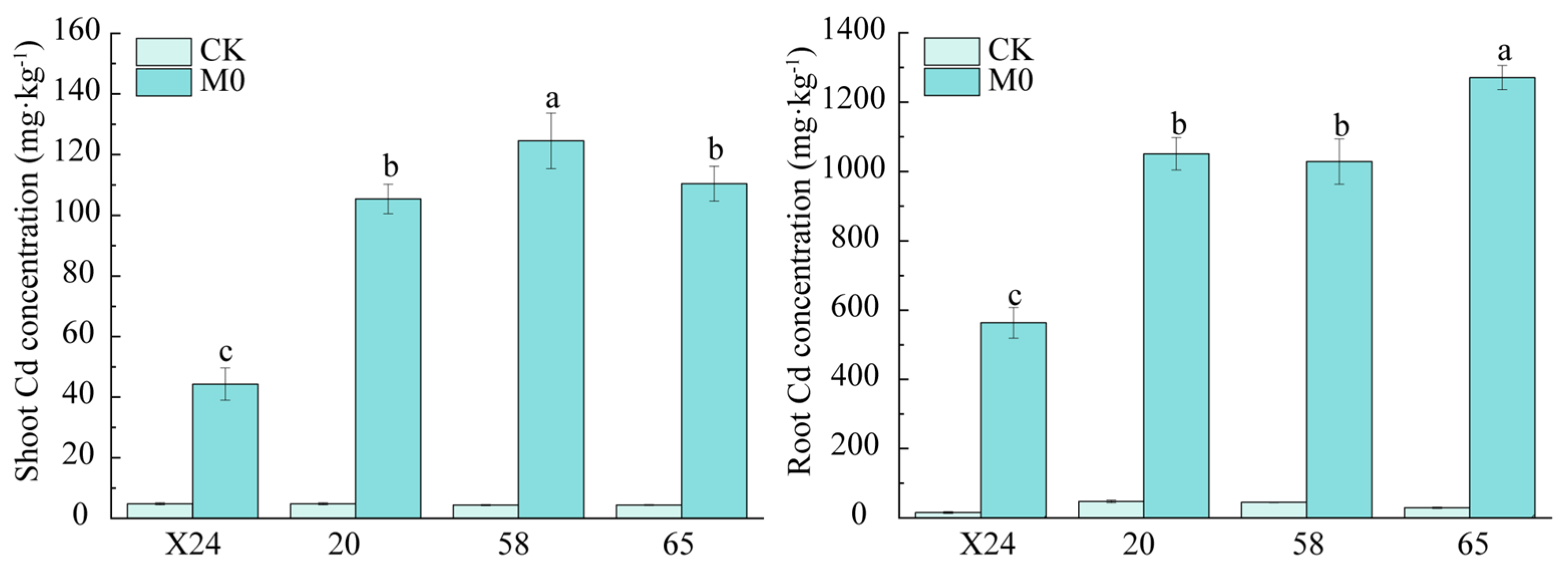 Toxics 13 00811 g001