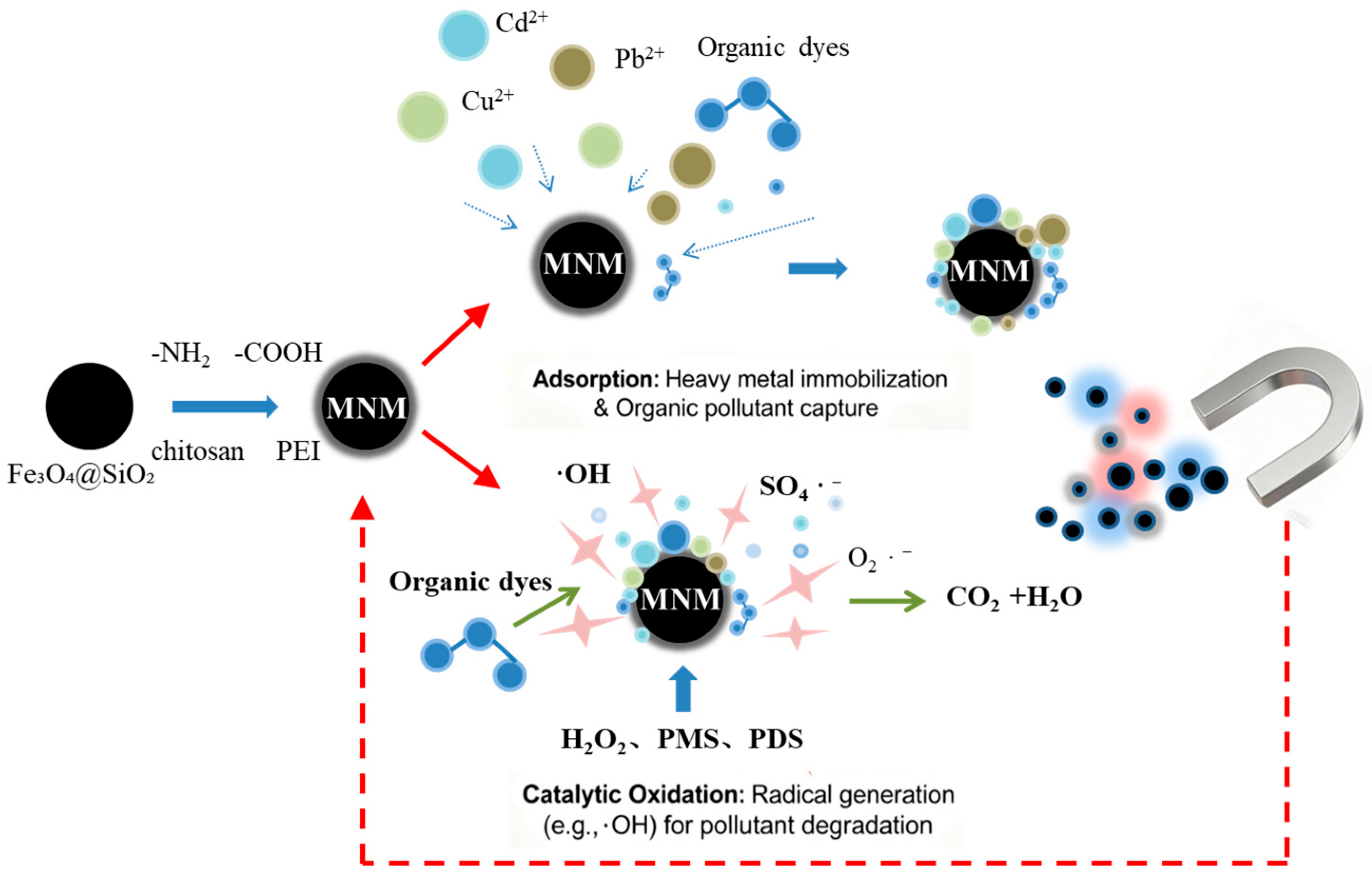 Toxics 13 00814 g001 Toxics 13 00814 g001