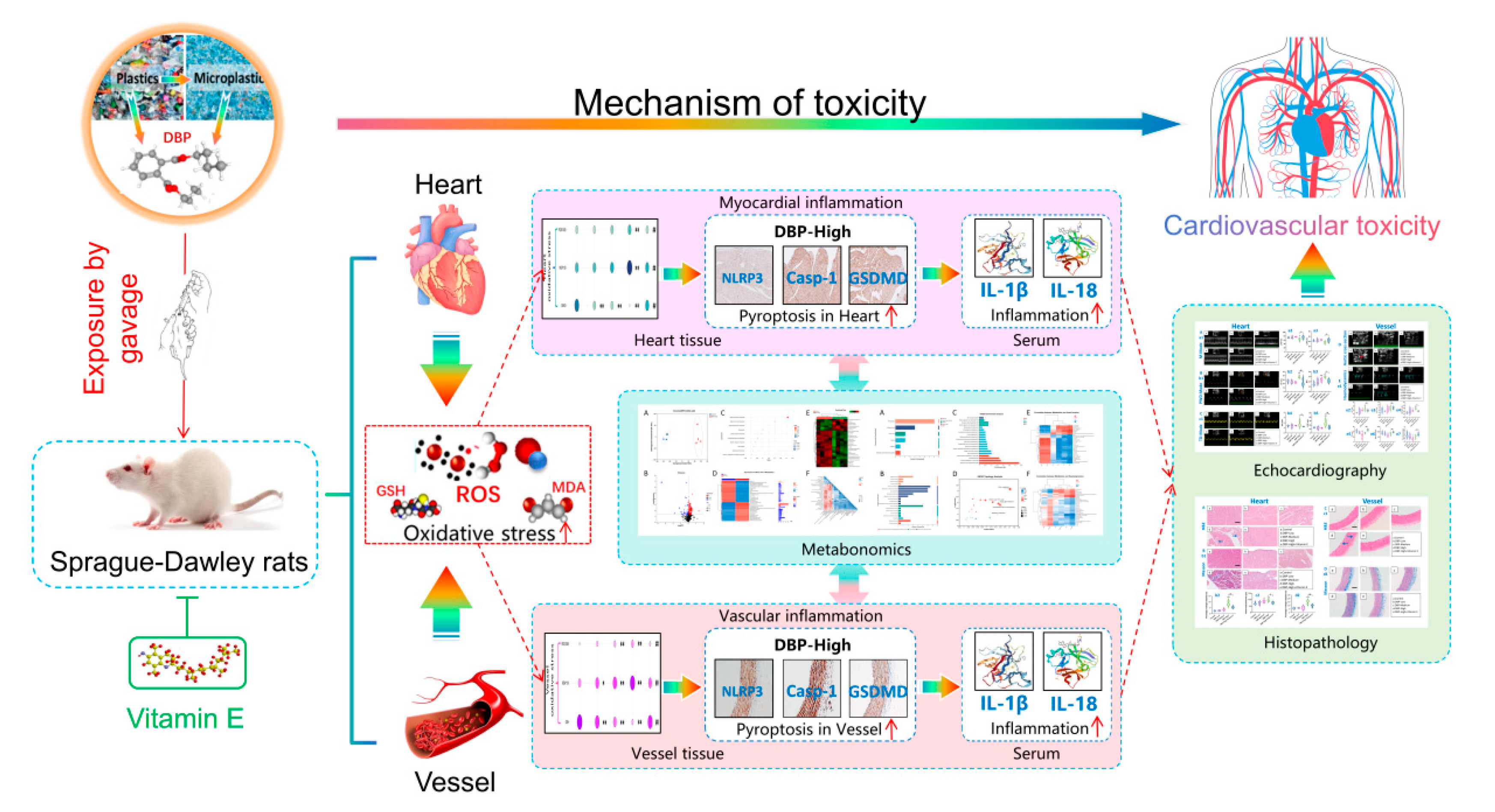 Toxics 13 00815 g001 Toxics 13 00815 g001