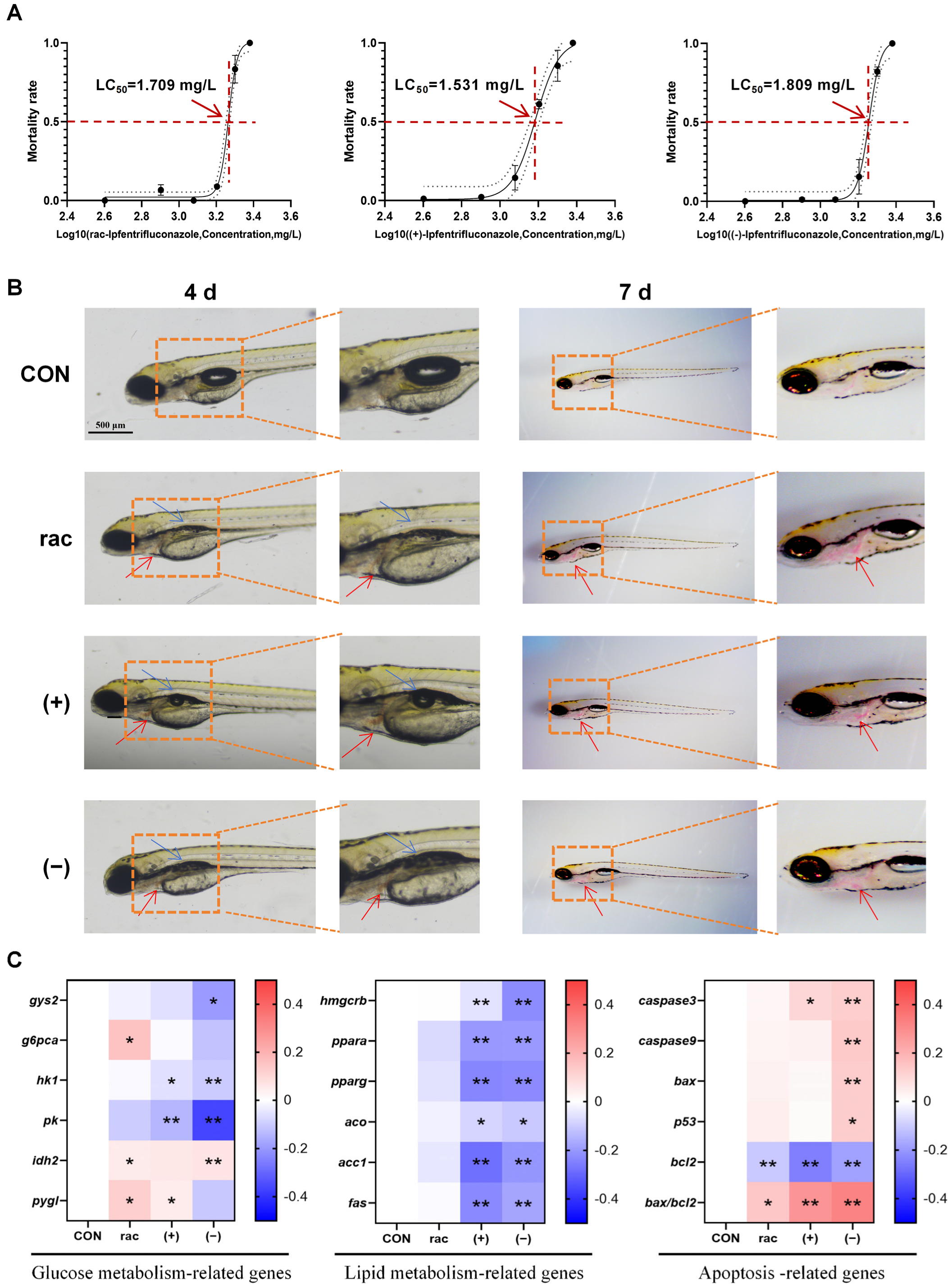Toxics 13 00830 g001