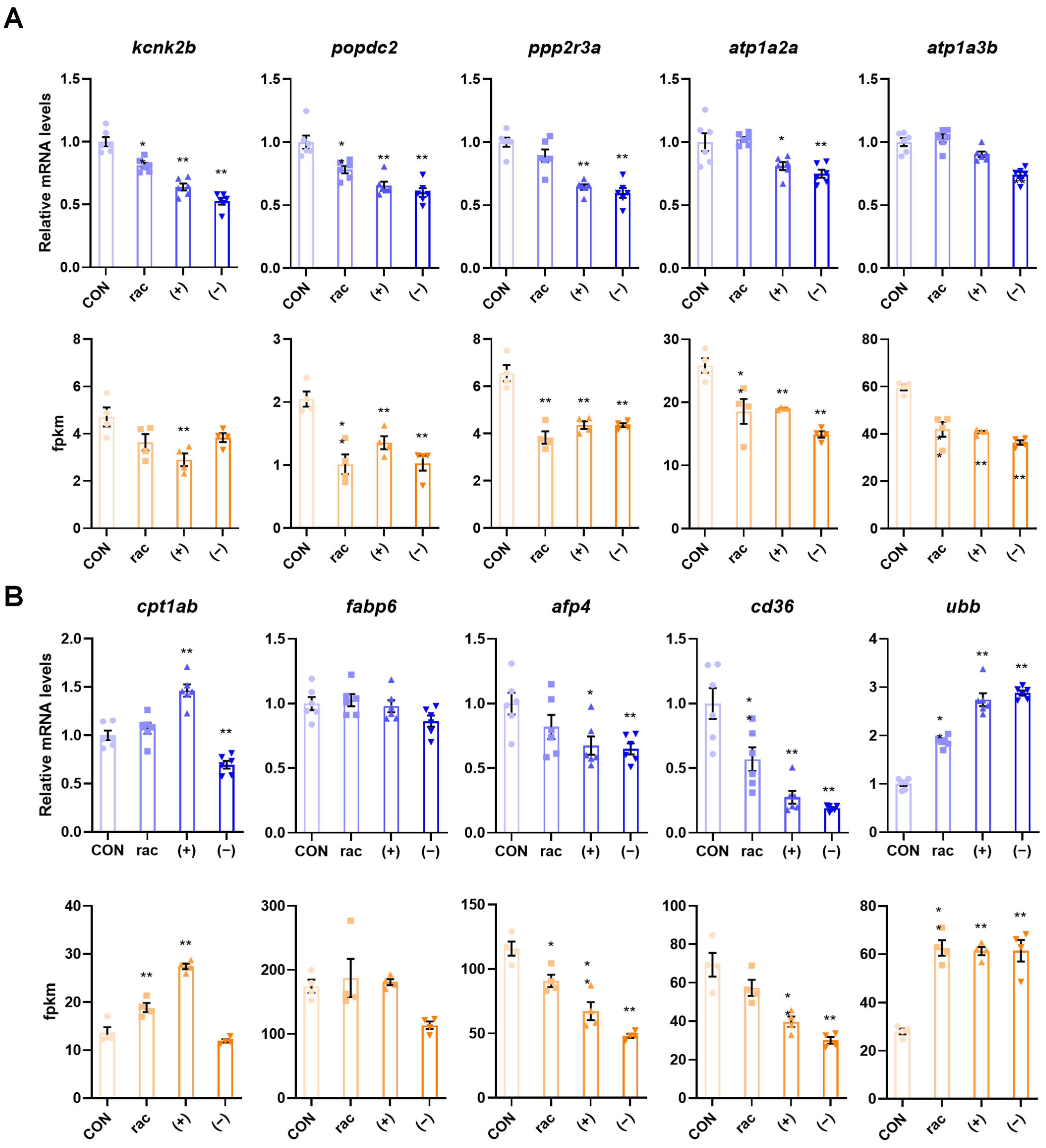 Toxics 13 00830 g006