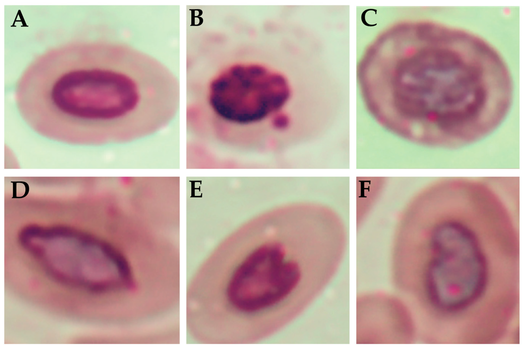 Toxics 13 00851 g005 Toxics 13 00851 g005