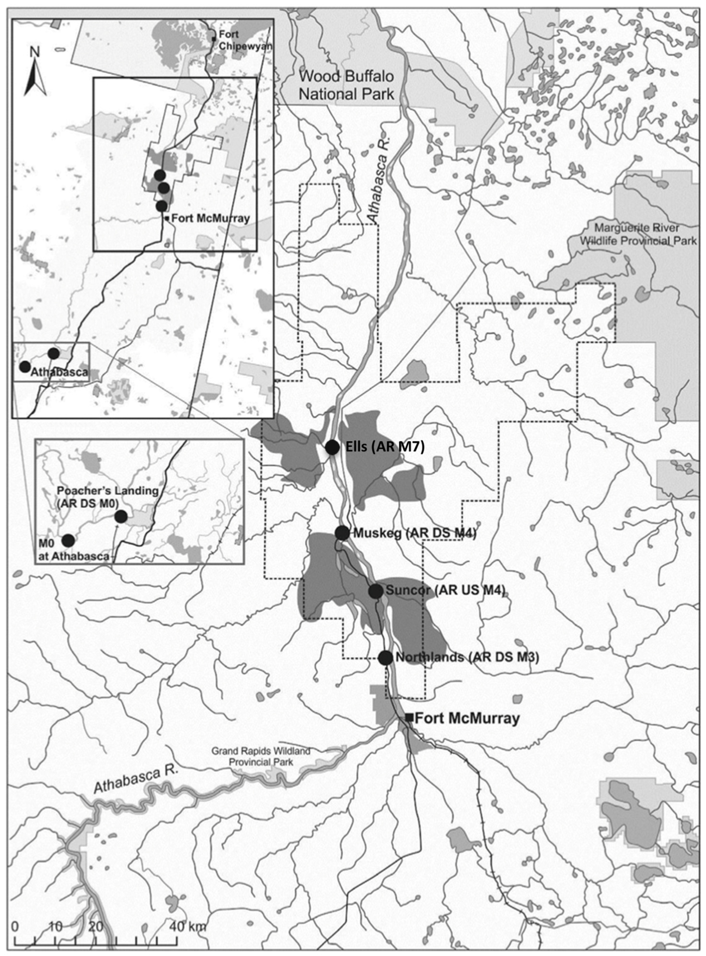 Toxics 13 00862 g001 Toxics 13 00862 g001