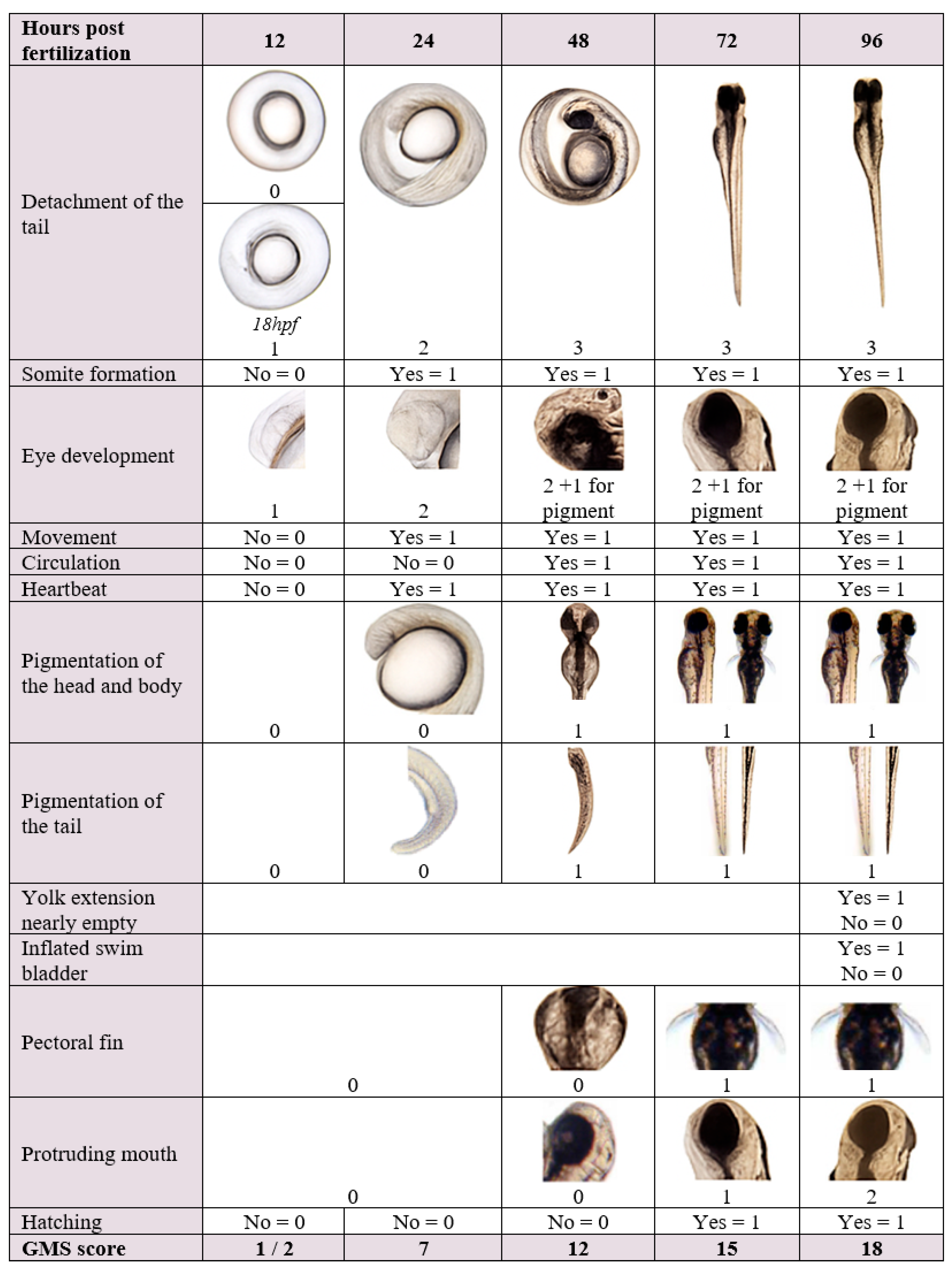 Toxics 13 00874 g001