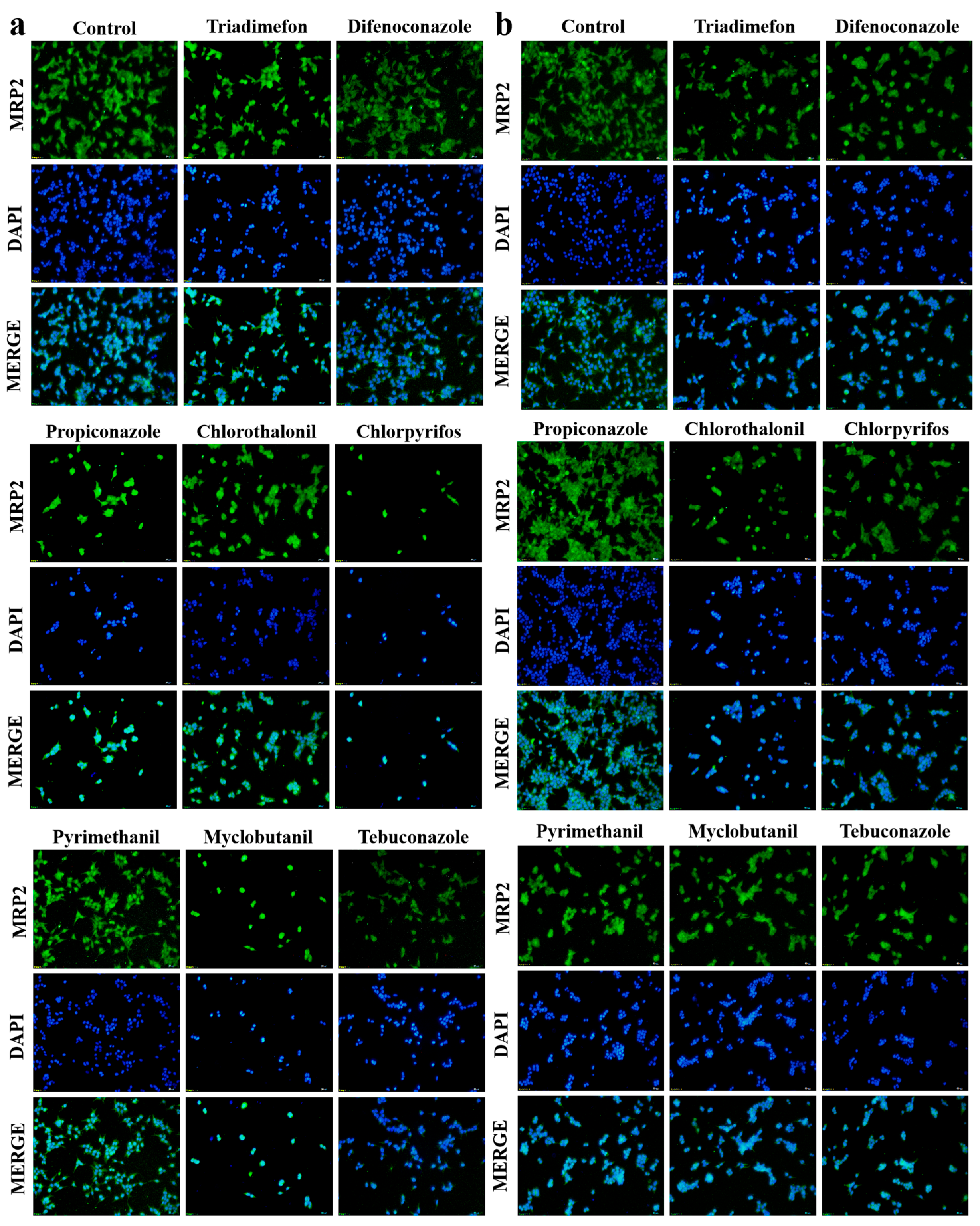 Toxics 13 00911 g004 Toxics 13 00911 g004