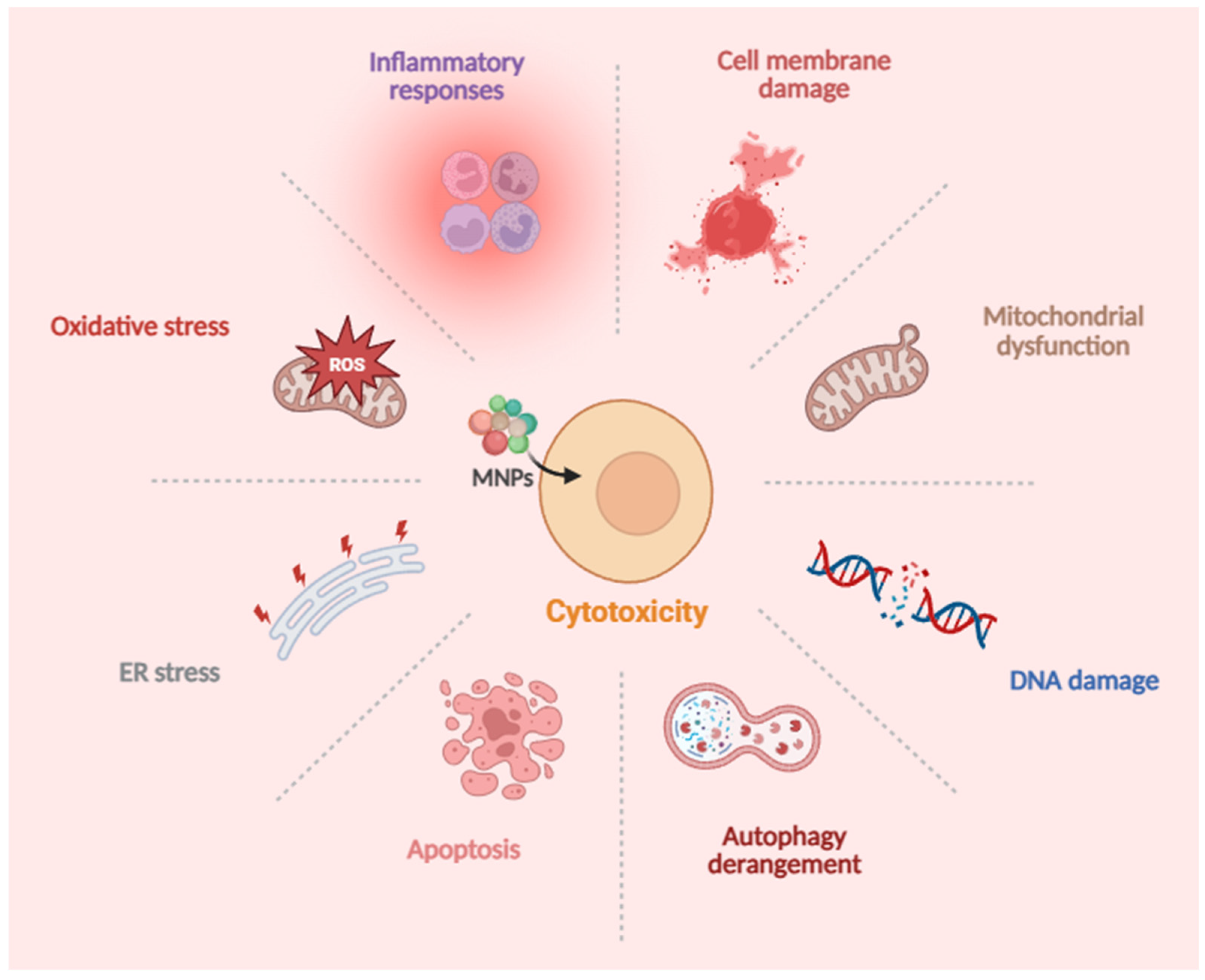 Toxics 13 00913 g001