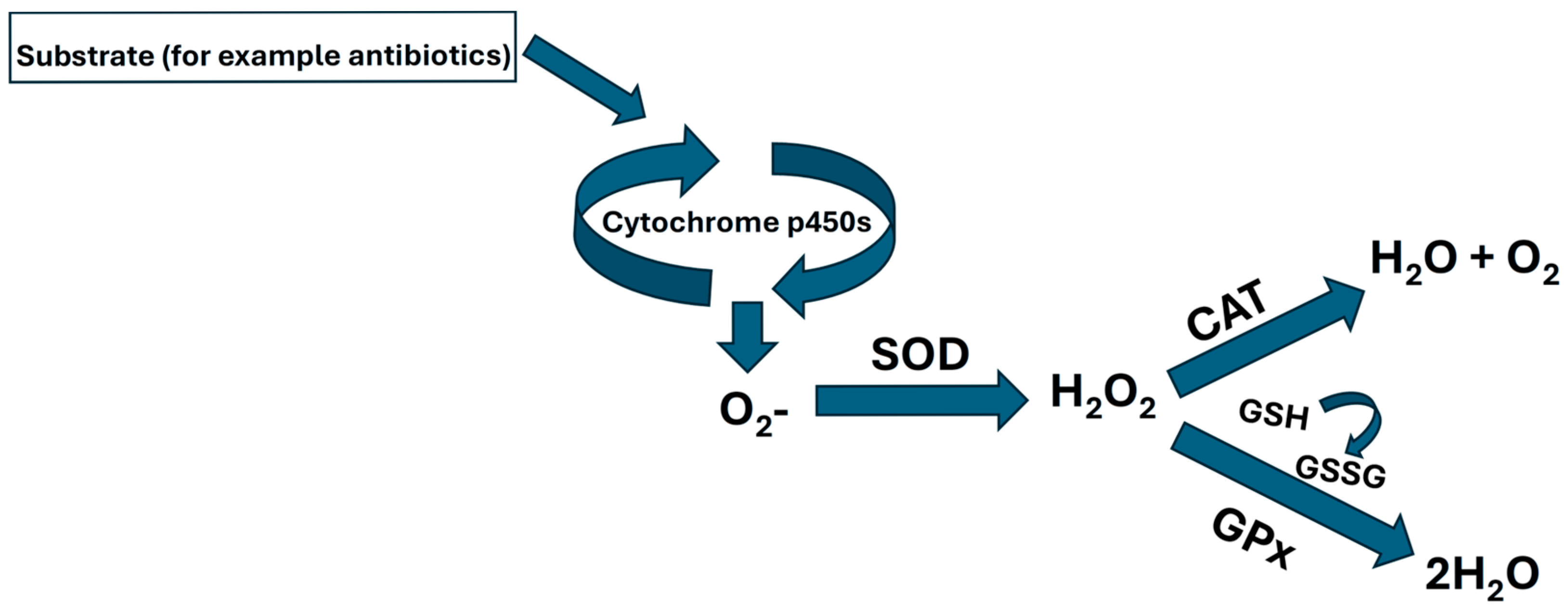 Toxics 13 00914 g001