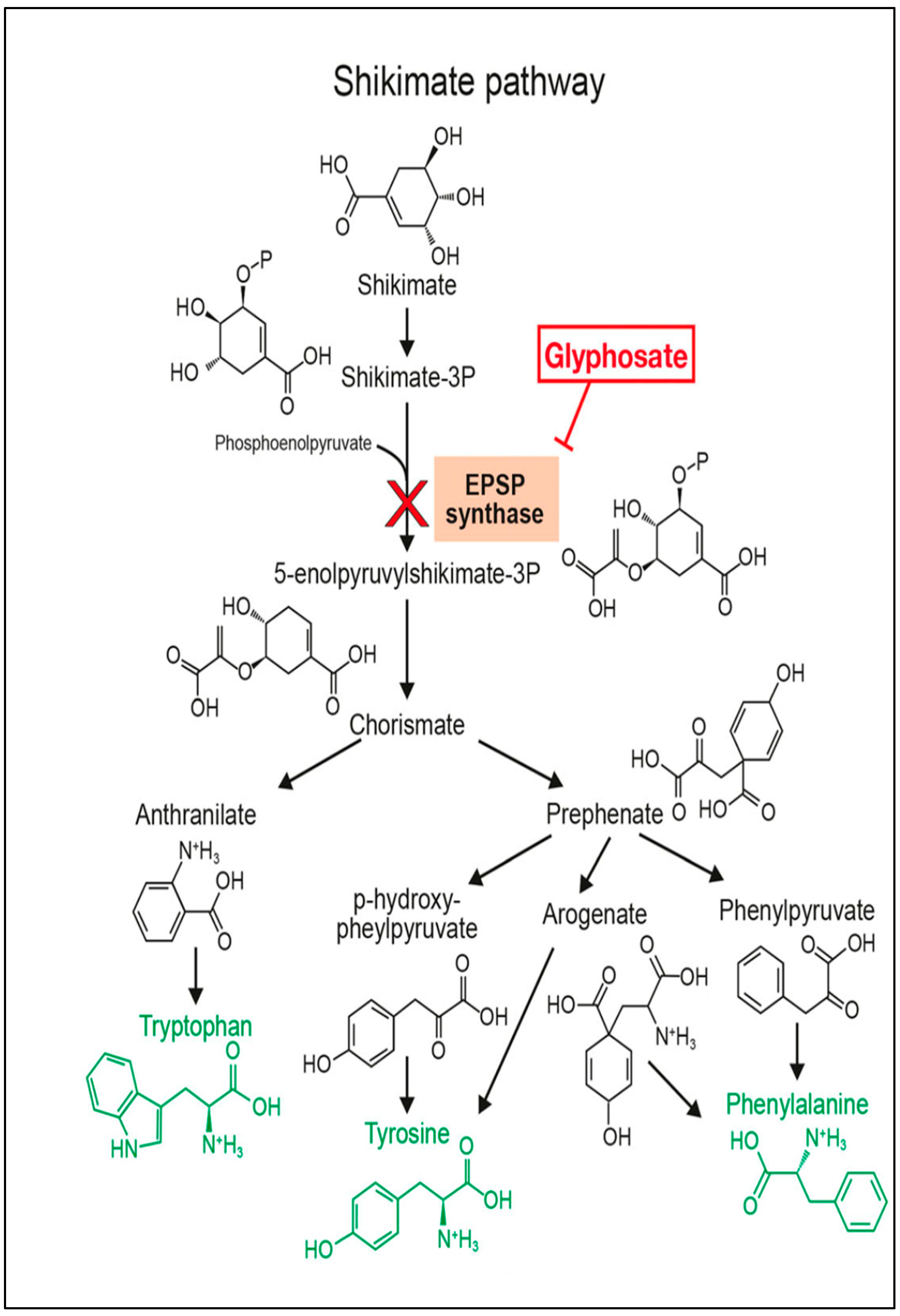 Toxics 13 00971 g001