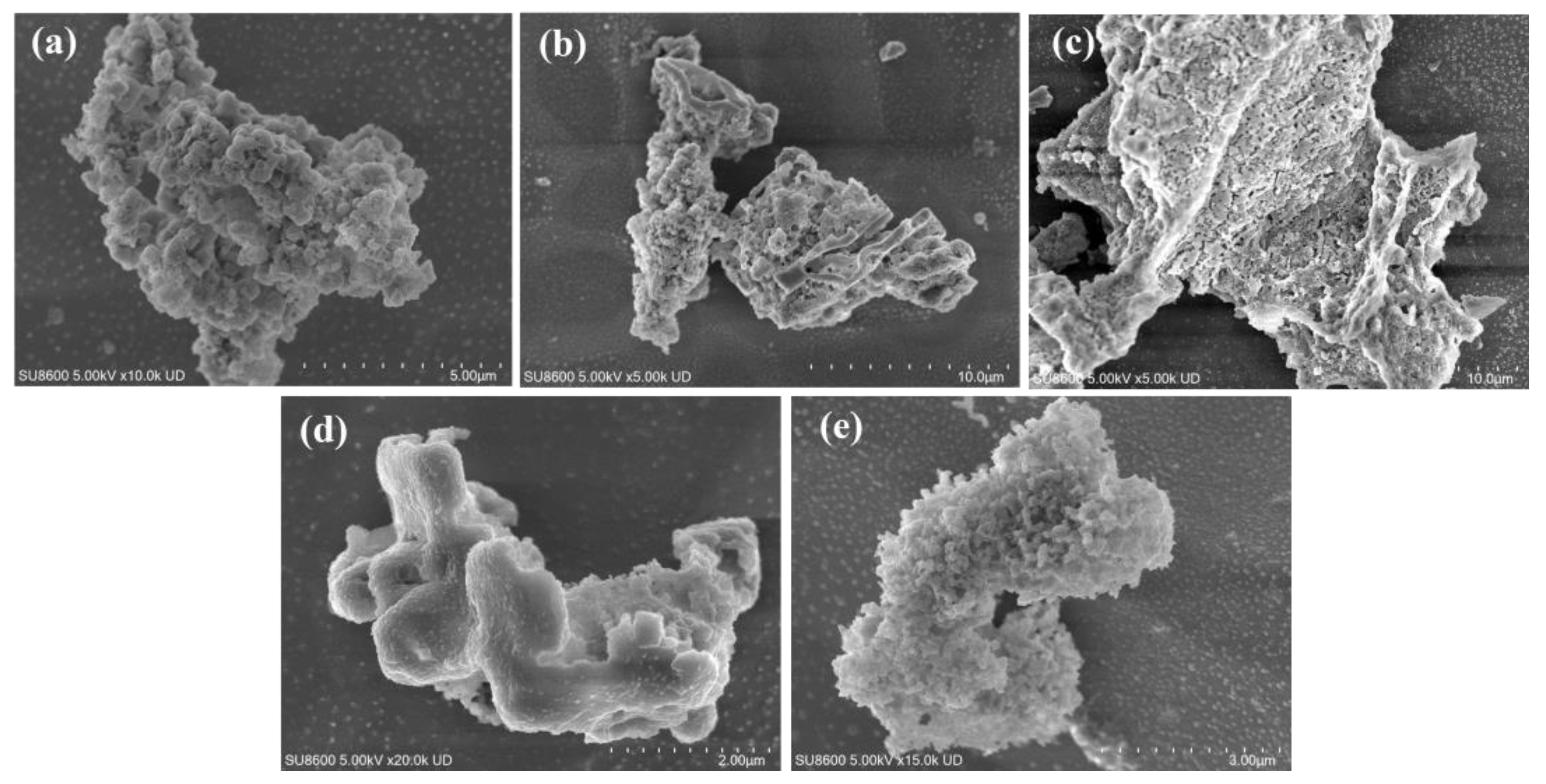 Toxics 13 00974 g002 Toxics 13 00974 g002