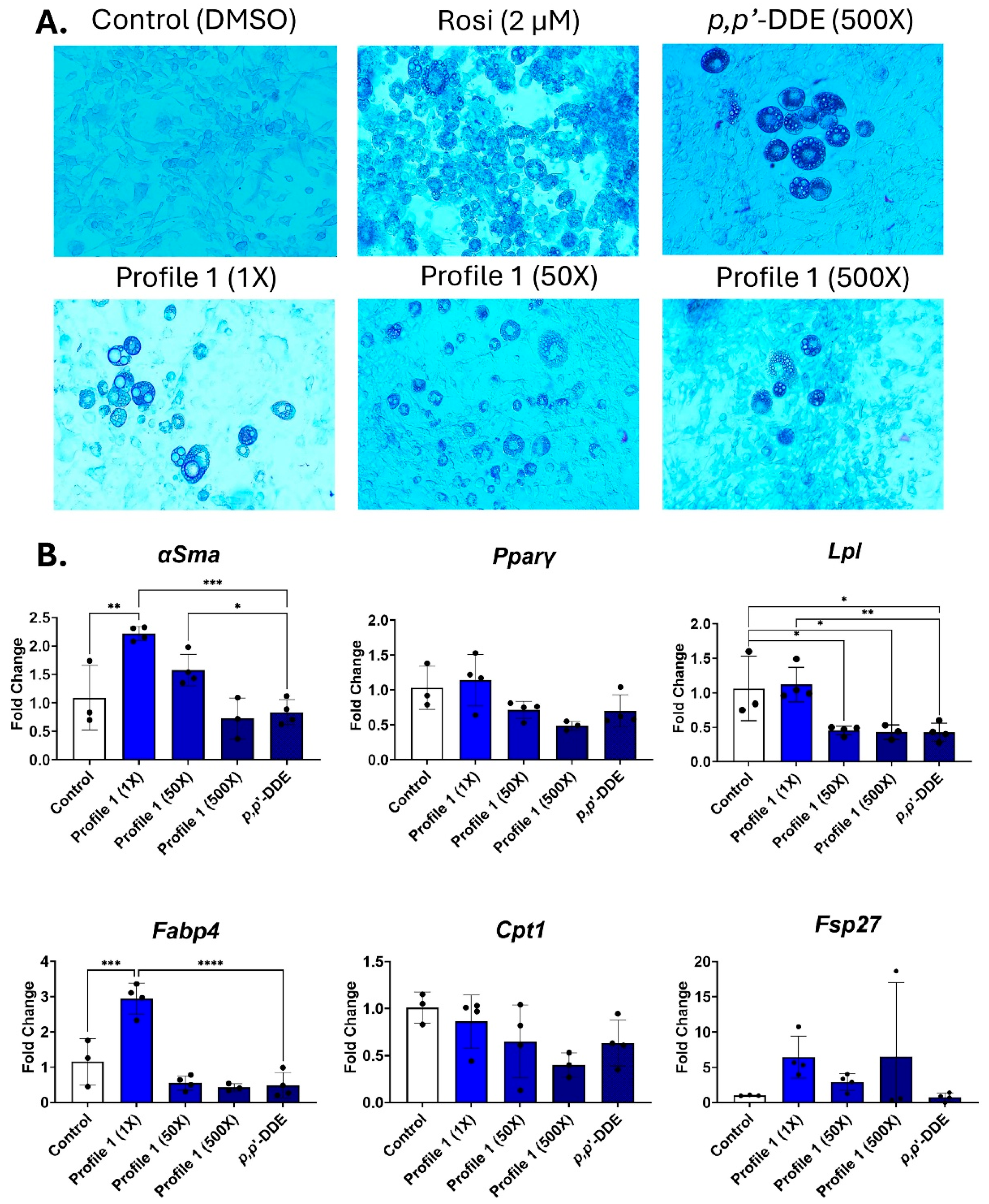 Toxics 13 00975 g002 Toxics 13 00975 g002