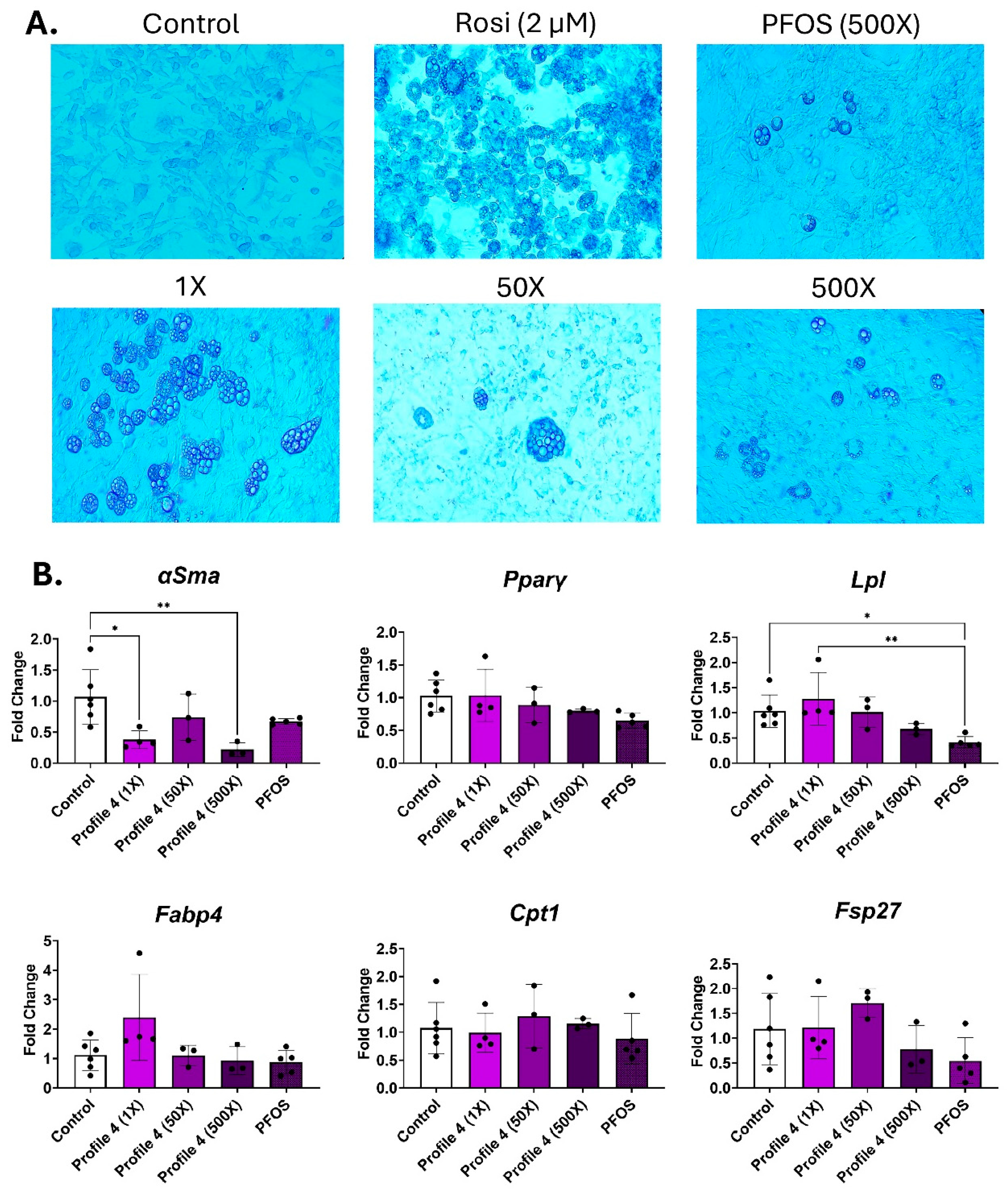 Toxics 13 00975 g003 Toxics 13 00975 g003
