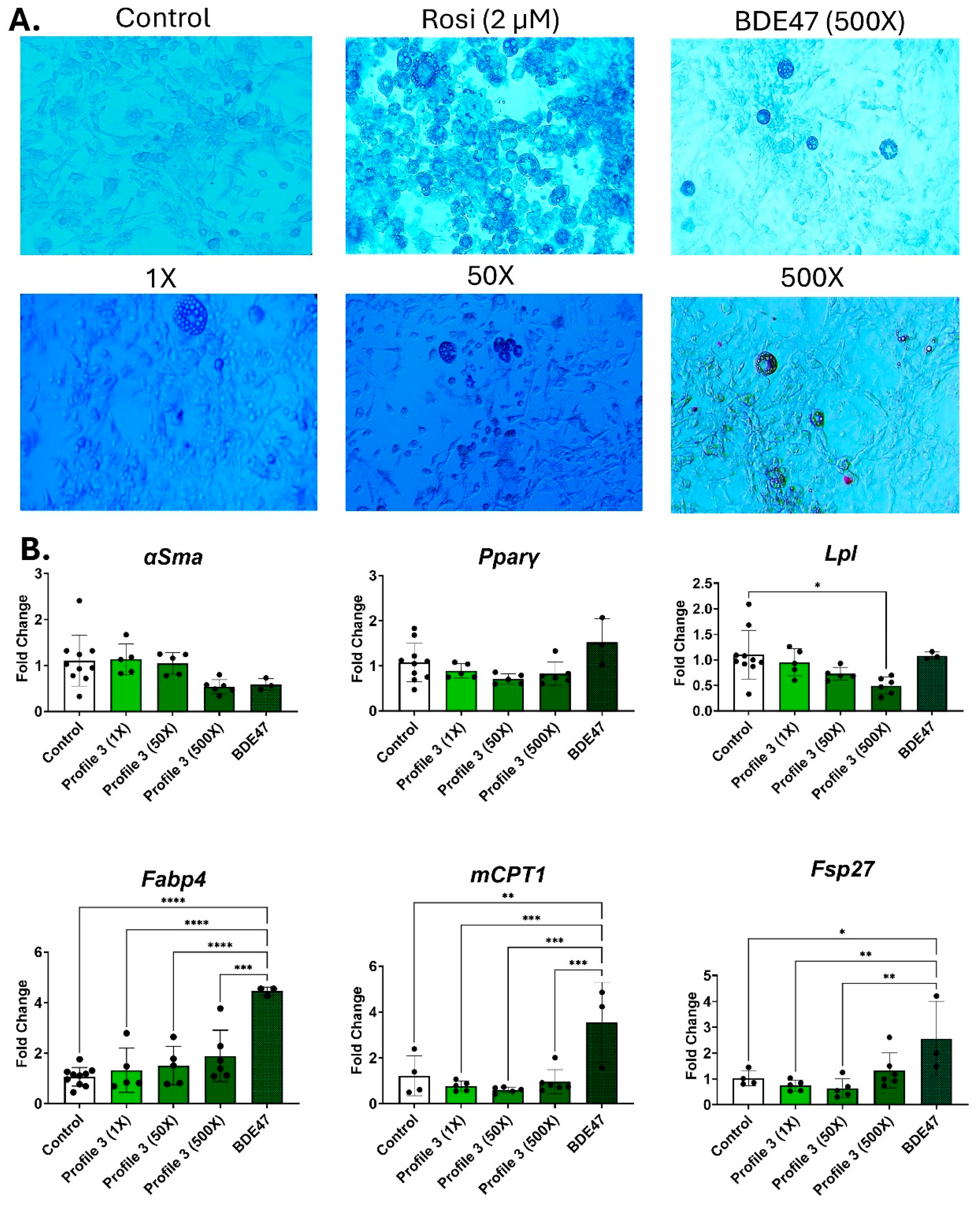 Toxics 13 00975 g004 Toxics 13 00975 g004