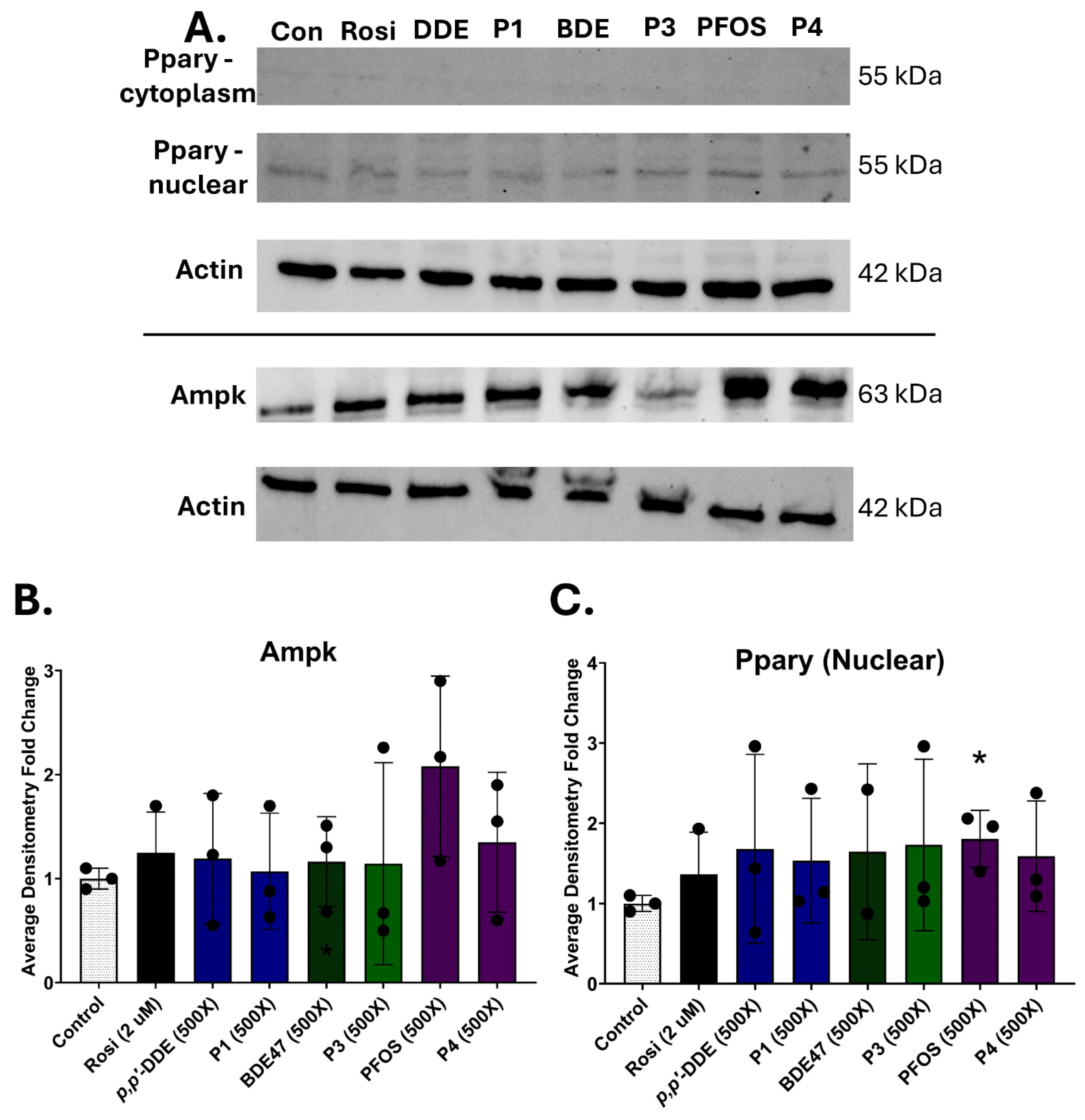 Toxics 13 00975 g007 Toxics 13 00975 g007