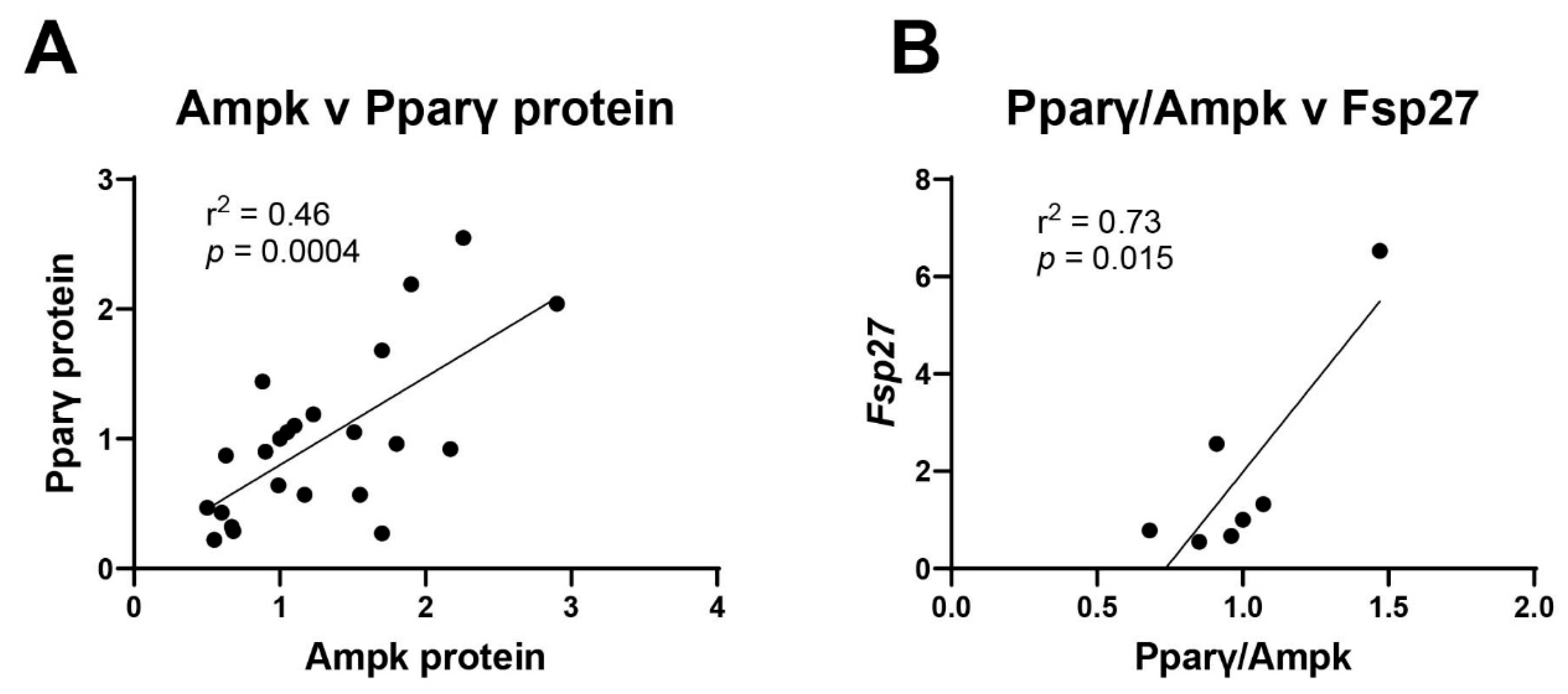 Toxics 13 00975 g008 Toxics 13 00975 g008